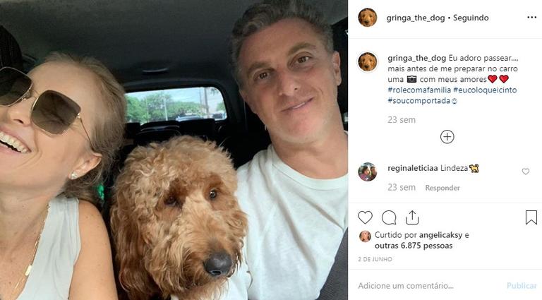 Cachorrinha de Angélica tem perfil fofo no Instagram