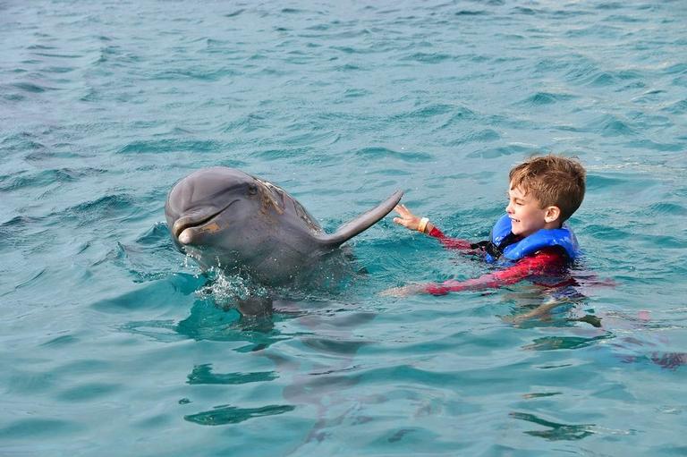 Ana Hickmann com o filho nadando com golfinhos