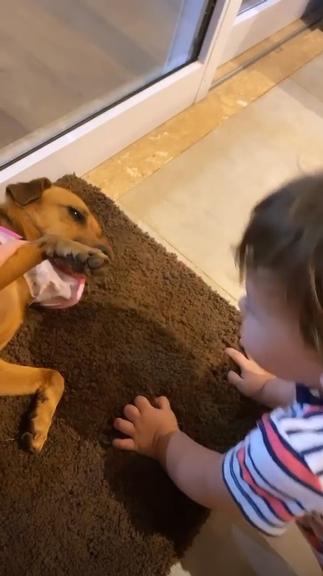 Andressa Suita mostra Samuel com o cachorro da família