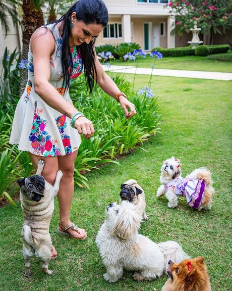 Cachorrinhos de Graciele Lacerda e Zezé Di Camargo