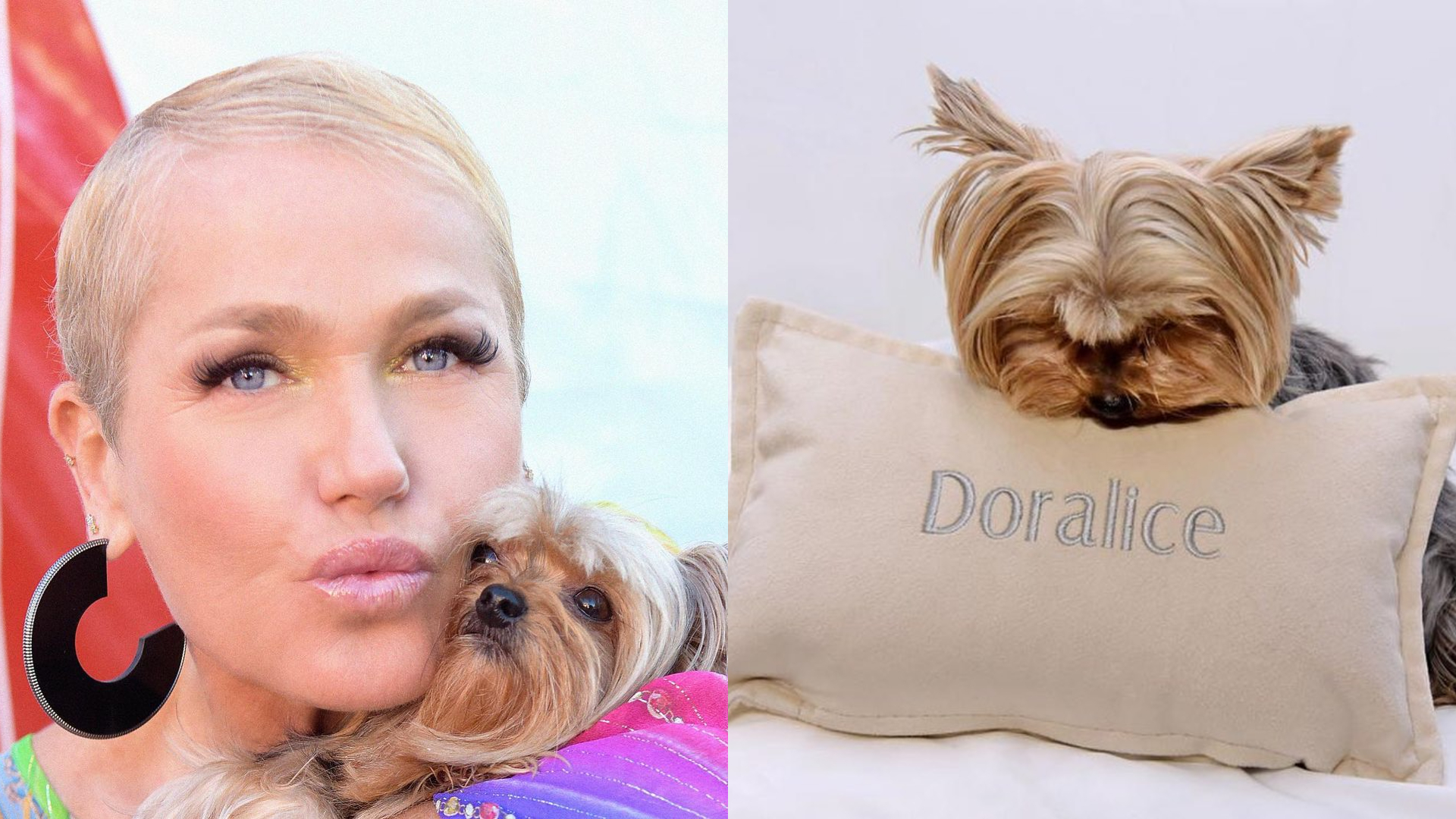 Xuxa Meneghel comemora o aniversário da cachorrinha que a ajudou com luto