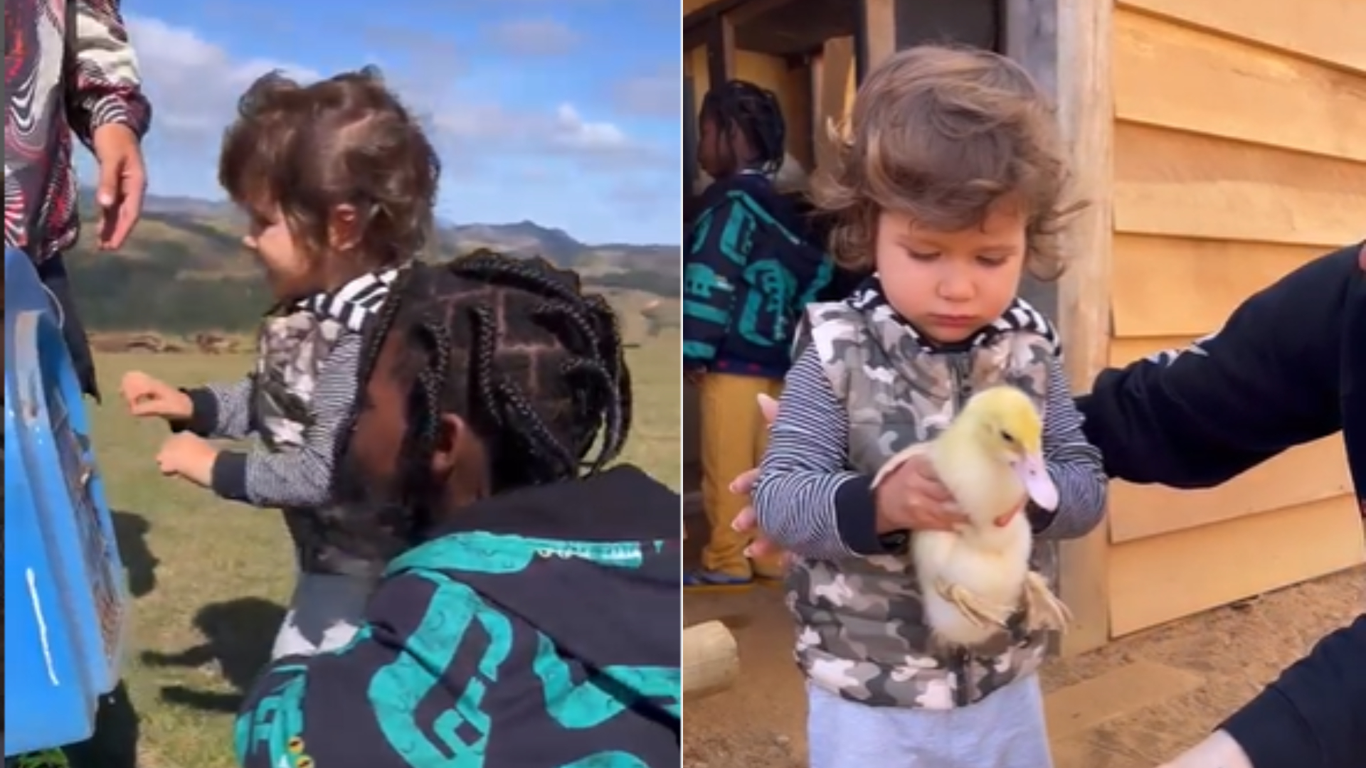 Zyan e Bless dão show de fofura ao ganharem patinhos: ”Novos moradores do rancho”