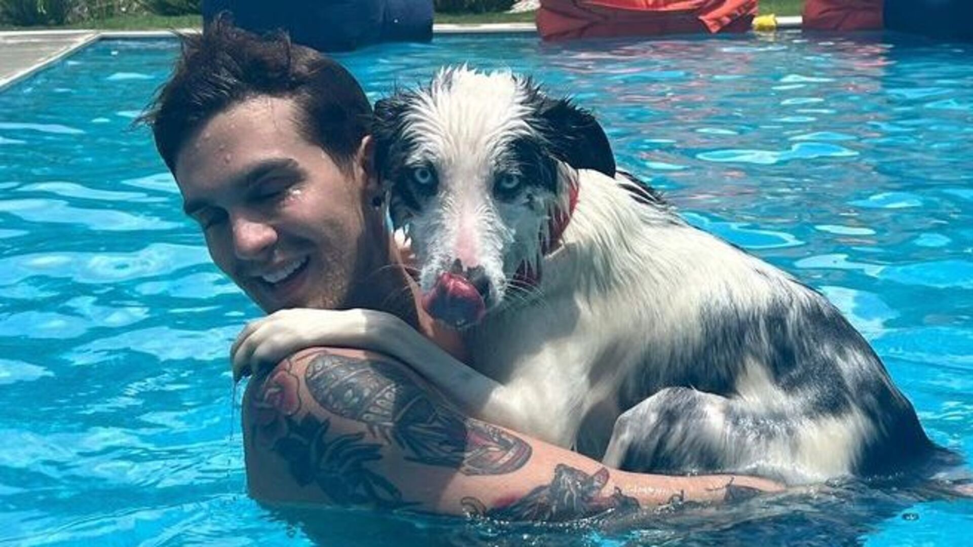 Em dia de sol, Luan Santana surge na piscina com sua cachorrinha Sky