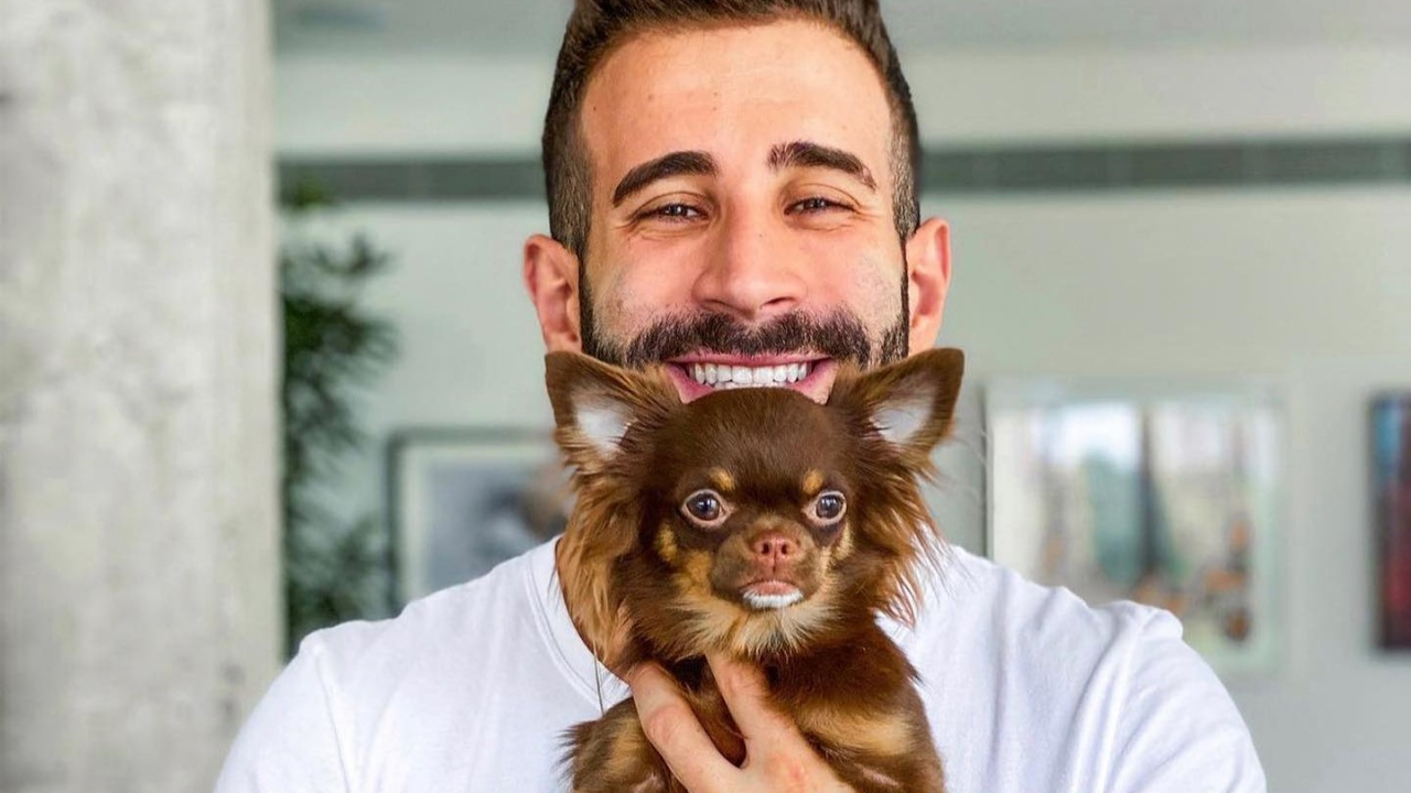 Luís Zuccolo revela curiosidades sobre os cachorros dos famosos: ”Tinham destruído tudo no apartamento”
