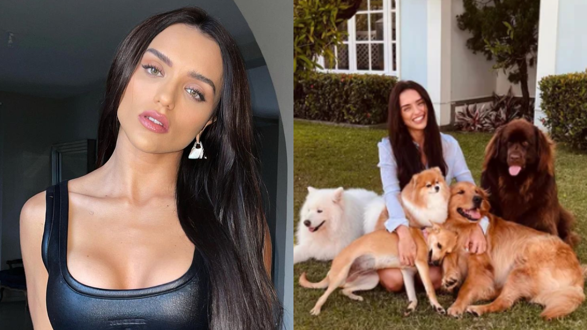 Rafa Kalimann mostra treino em casa e fofura dos seus cachorros rouba a cena