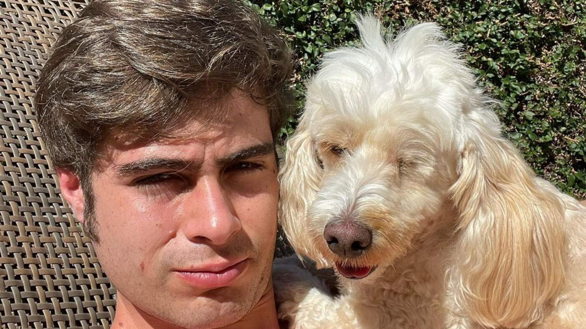 Rafael Vitti derrete a web ao surgir coladinho com um de seus cães: ”Coisa fofa!”