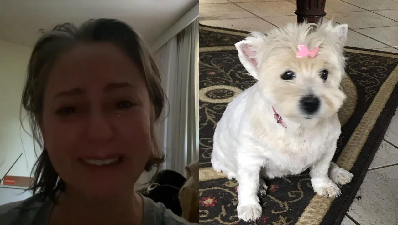 Aos prantos, Guta Stresser comunica aos fãs morte de sua cachorrinha: ”Ela estava bem velhinha já…”