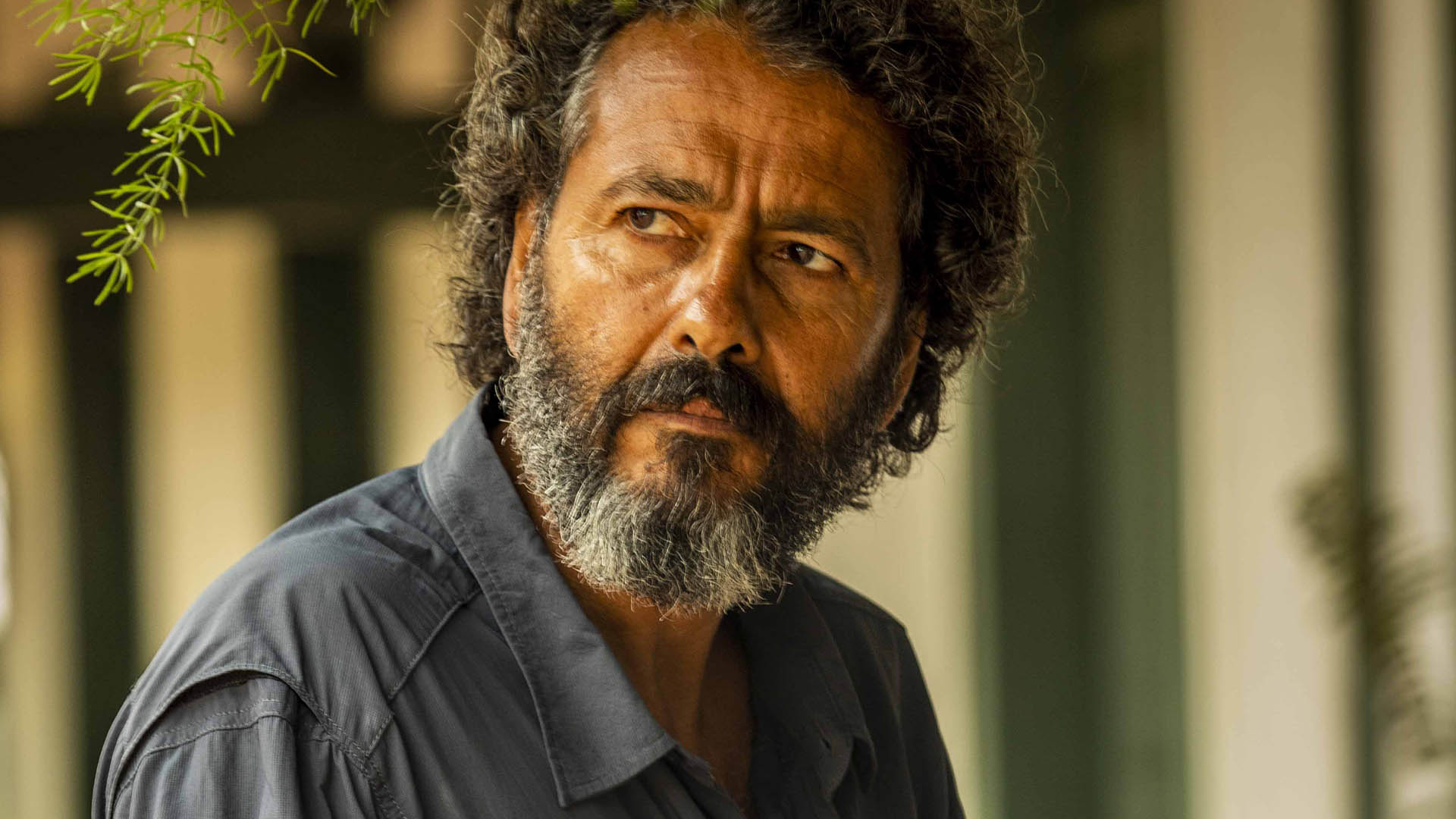 Marcos Palmeira mostra os bastidores da novela Pantanal