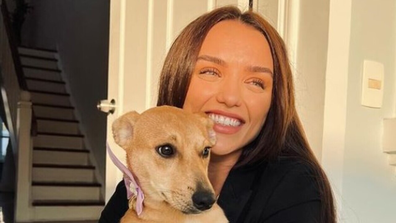 Rafa Kalimann anuncia chegada de nova cachorrinha em sua casa