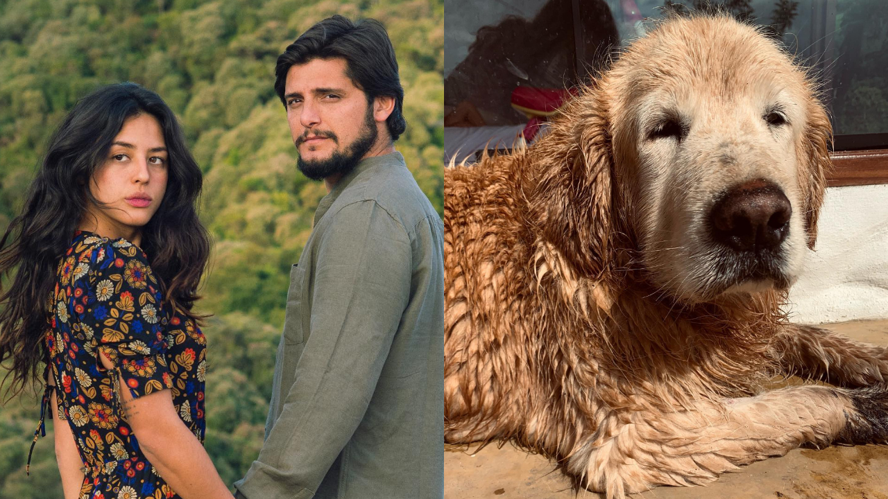 Yanna Lavigne e Bruno Gissoni se despedem da cachorra da família: ”Primeira filha”