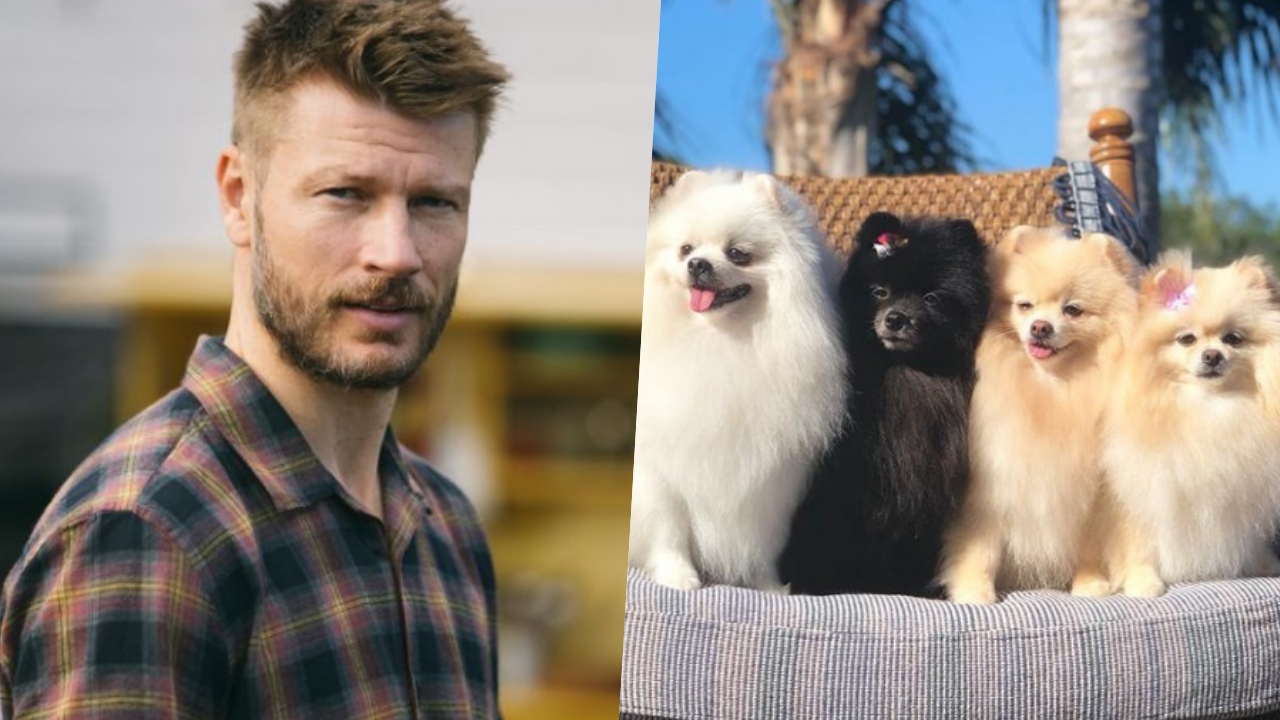 Rodrigo Hilbert se derrete pelos encantos dos cãezinhos ‘Os Floquinhos’: ”Lindos demais”