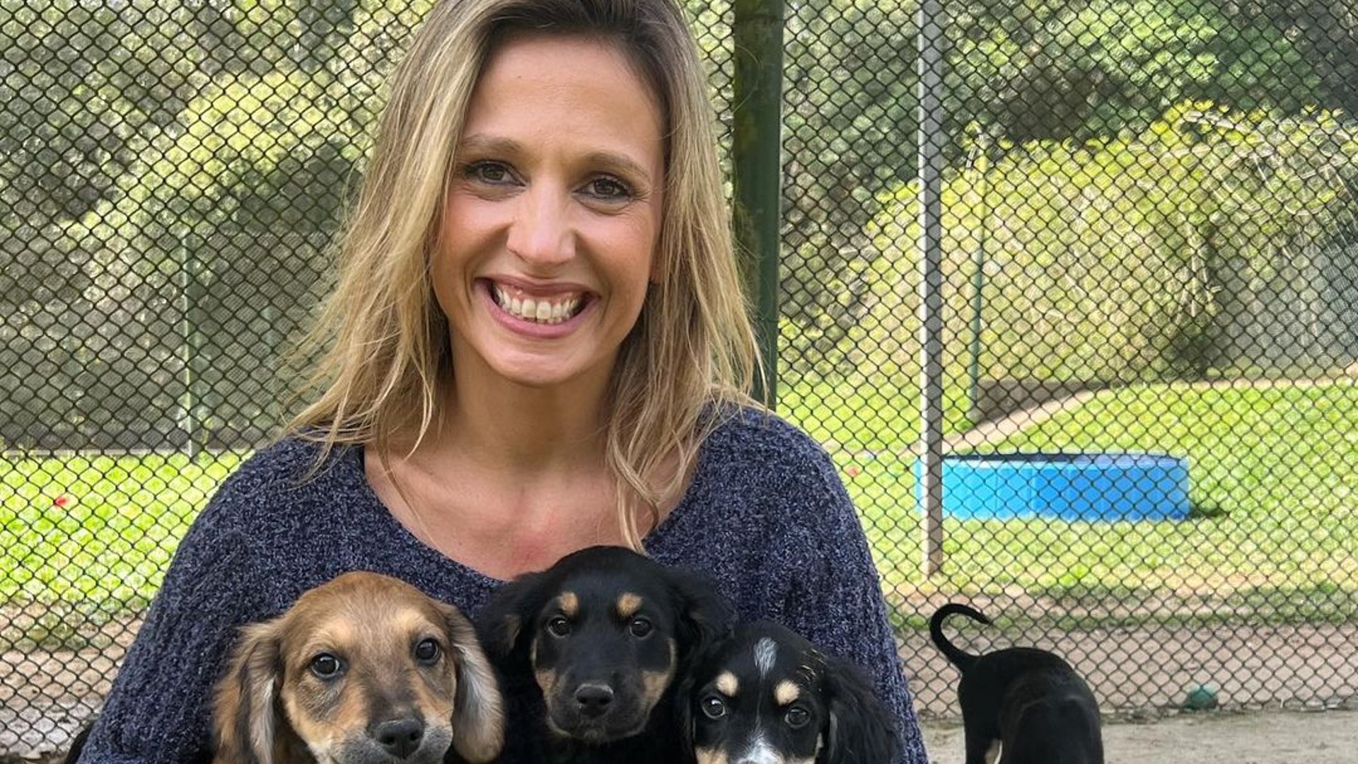 Luisa Mell diz ter sido ofendida por bolsonarista na rua: “covarde”
