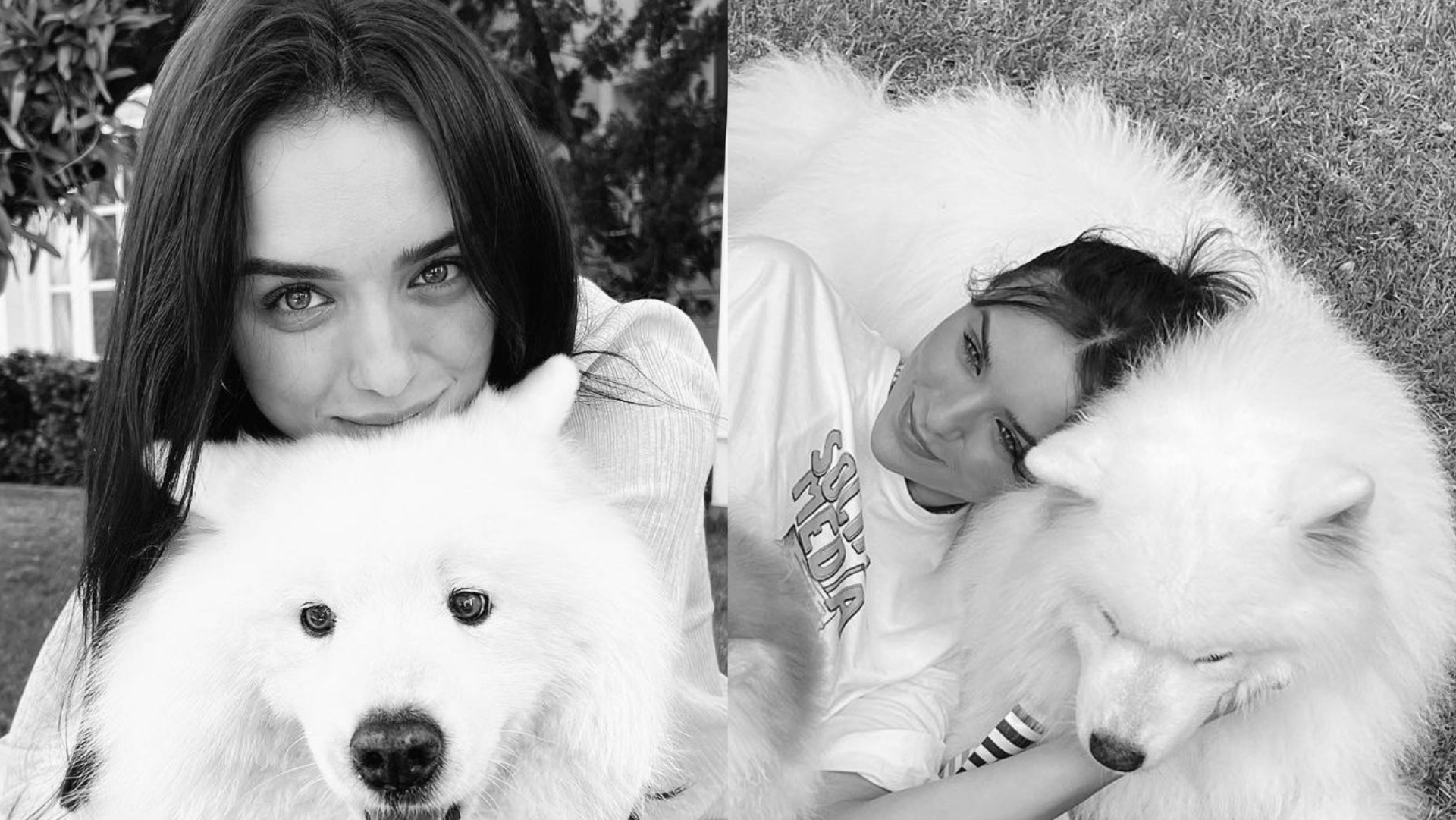 Rafa Kalimann se despede de pet com declaração emocionante: ”Aprendi tanto com o Troy”