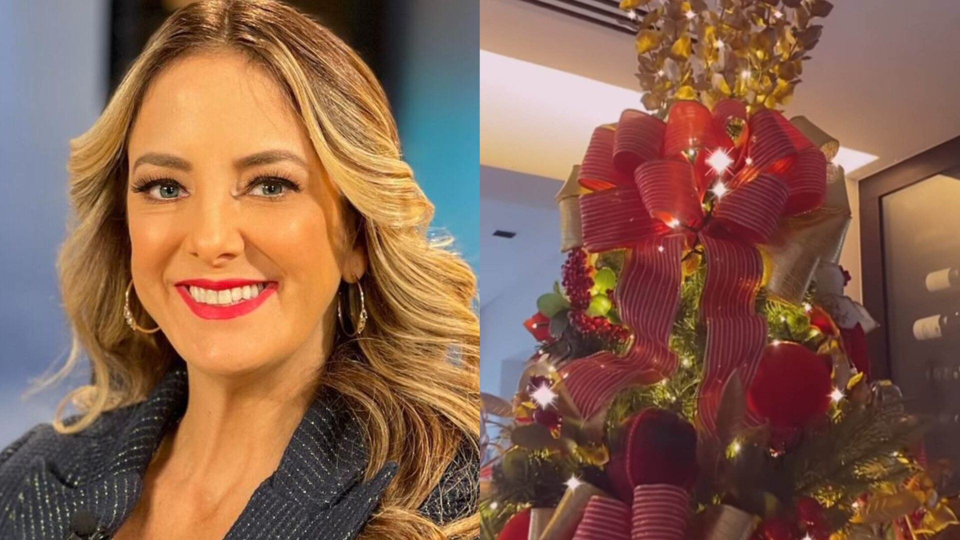 Ticiane Pinheiro impressiona ao mostrar decoração de sua árvore de Natal