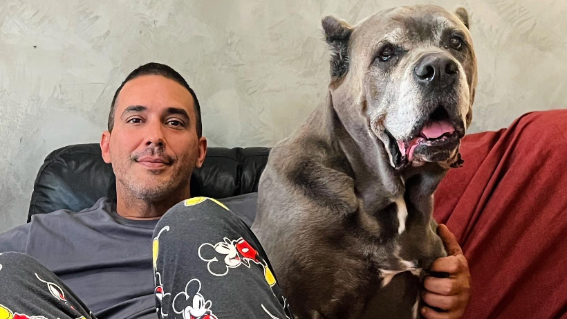 André Marques encanta internet com momentos fofos com seus cachorros