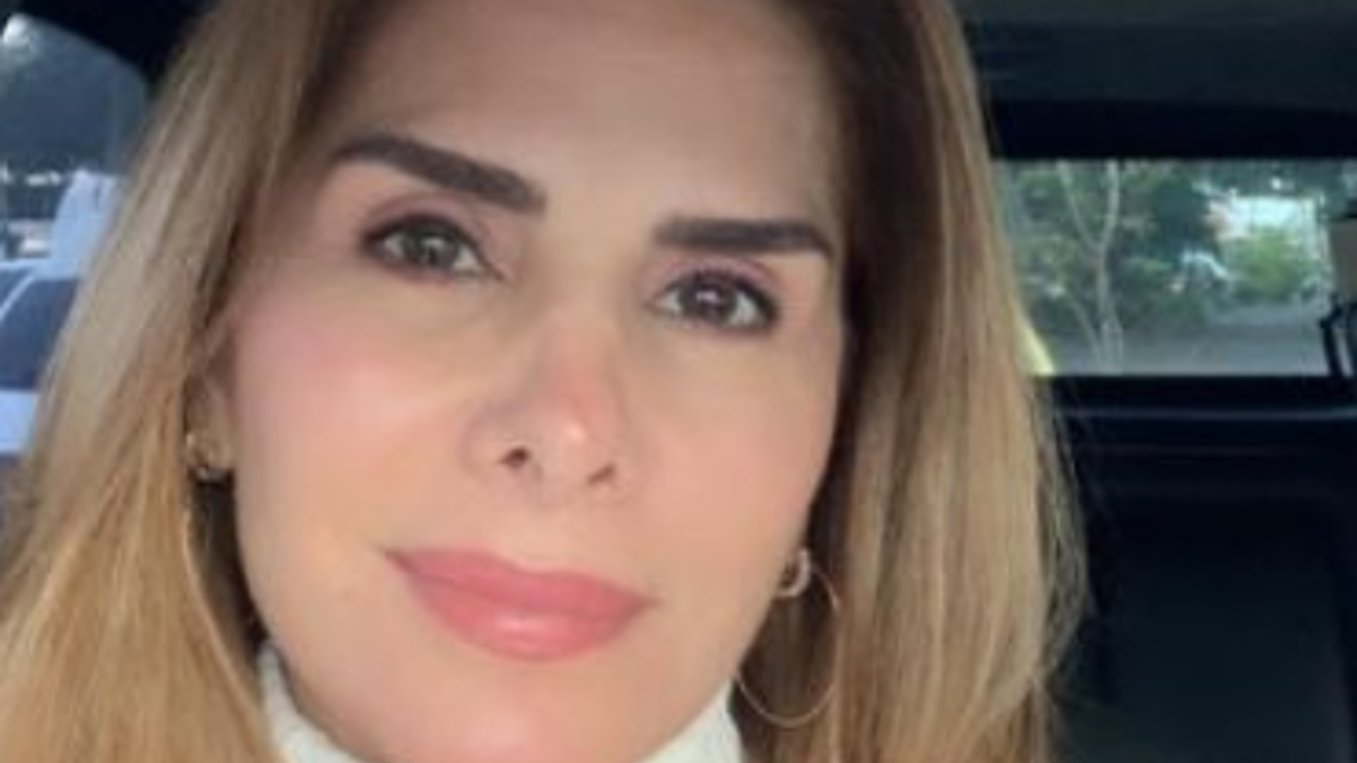Helena Fernandes e José Alvarenga se separam após 22 anos de casamento