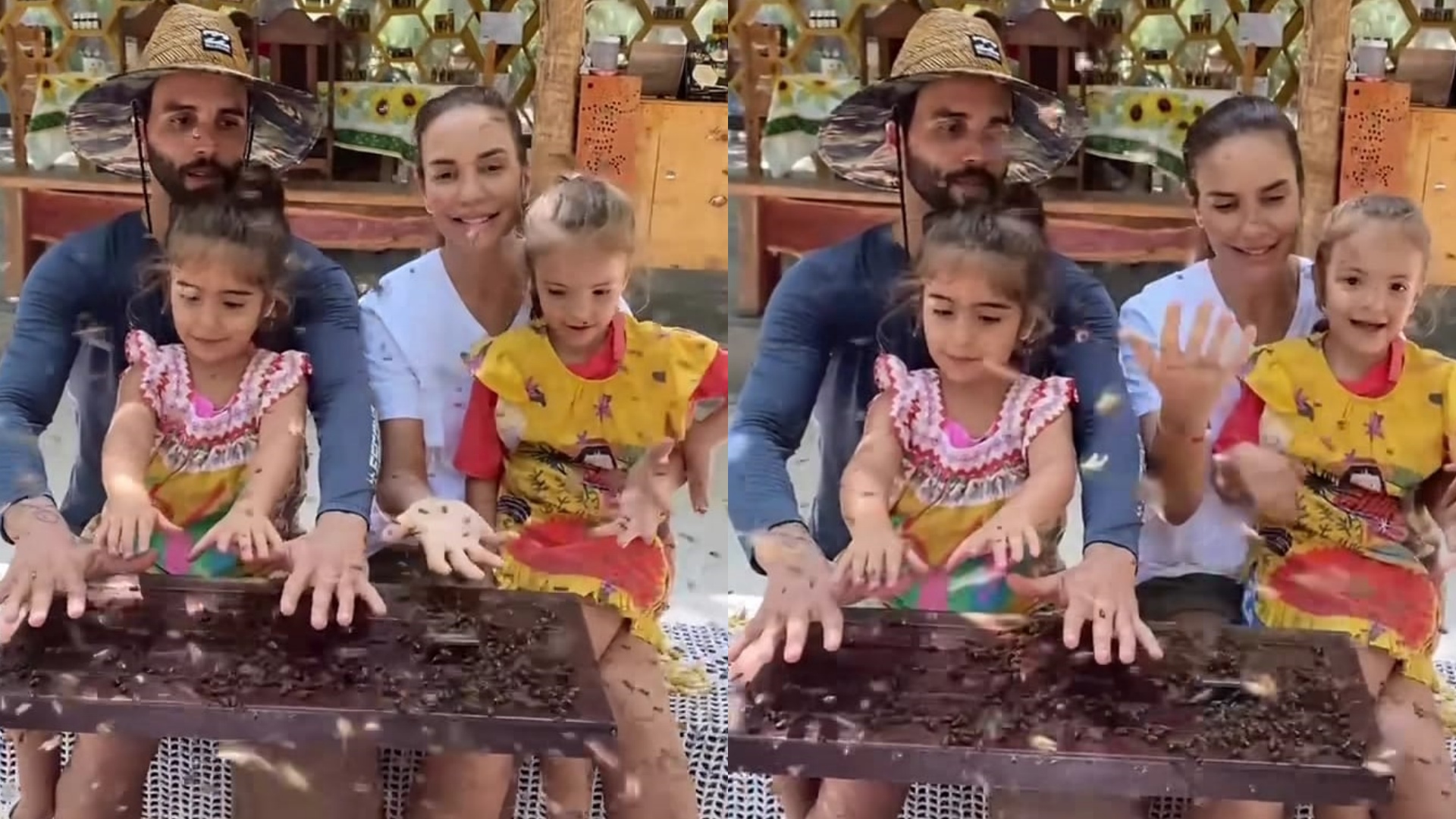 Ao lado da família, Ivete Sangalo se diverte em meio a abelhas: “Amamos”