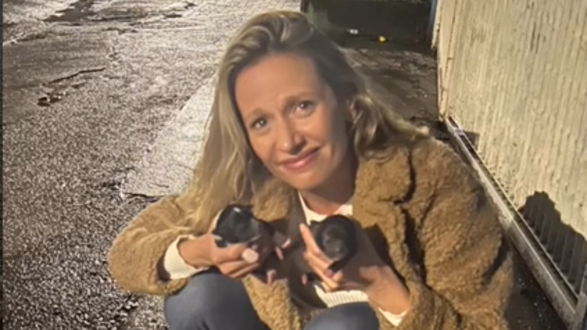 Luisa Mell sofre convulsão, está internada e aparece abatida nas redes sociais