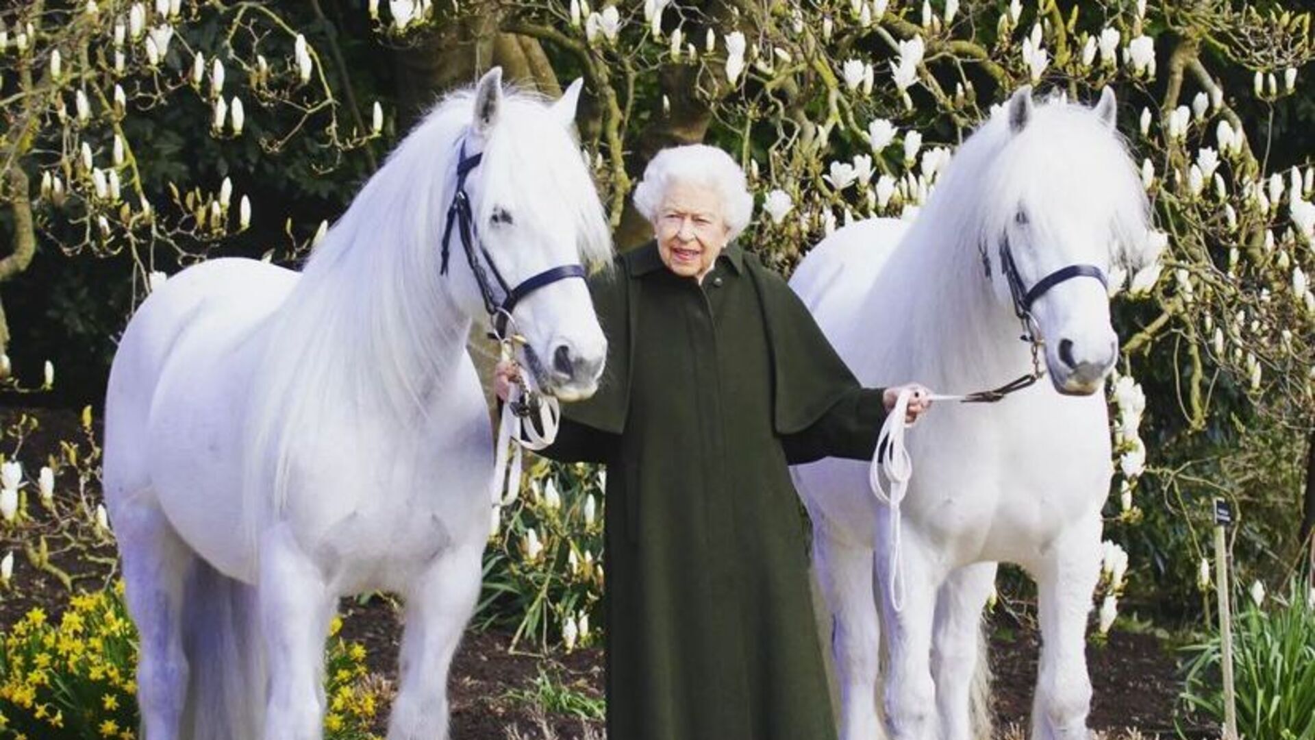 Família Real revela que pônei de Elizabeth II prestou homenagem à Rainha