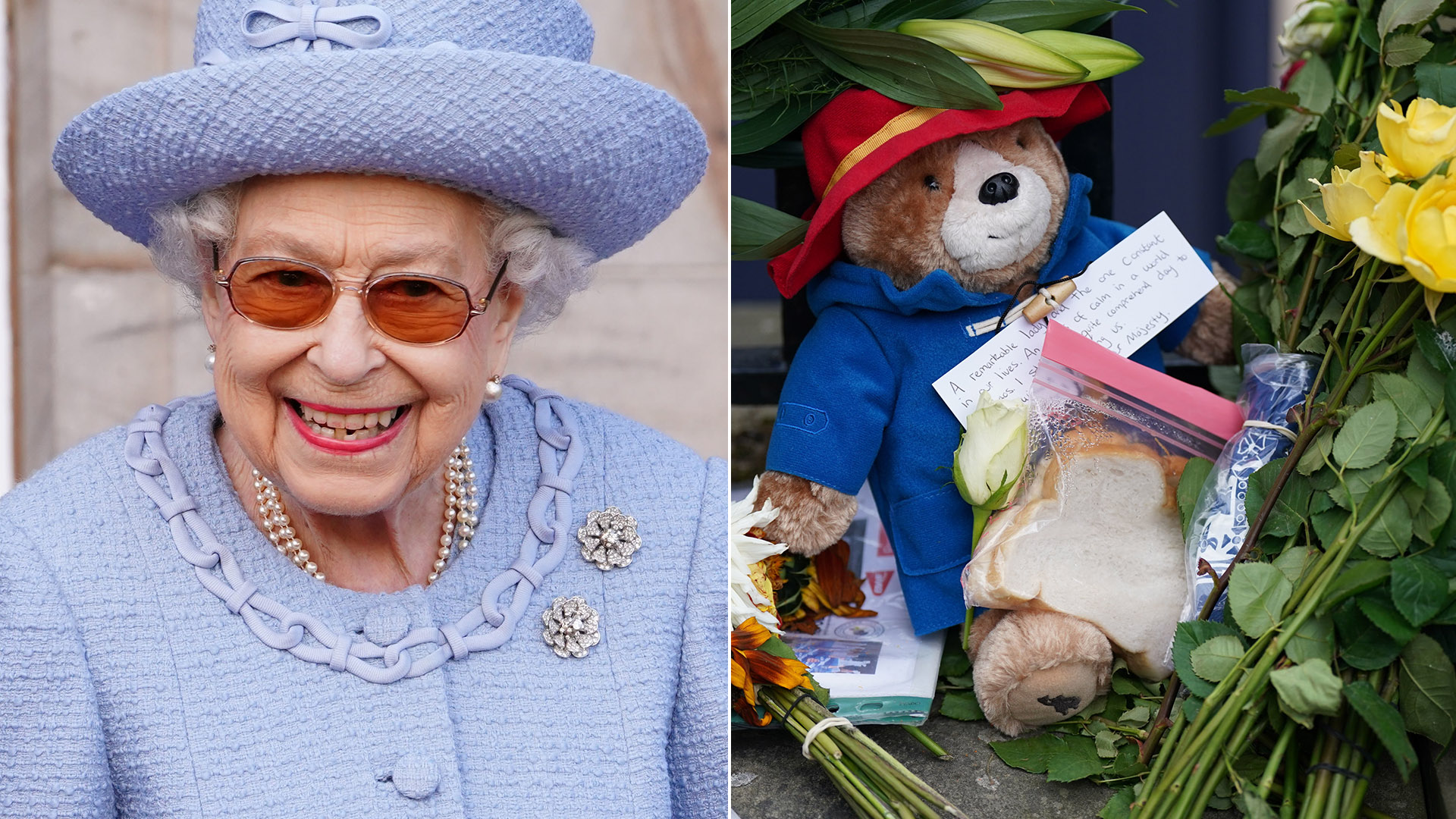 Realeza revela o destino dos ursos que foram deixados no funeral da Rainha Elizabeth II