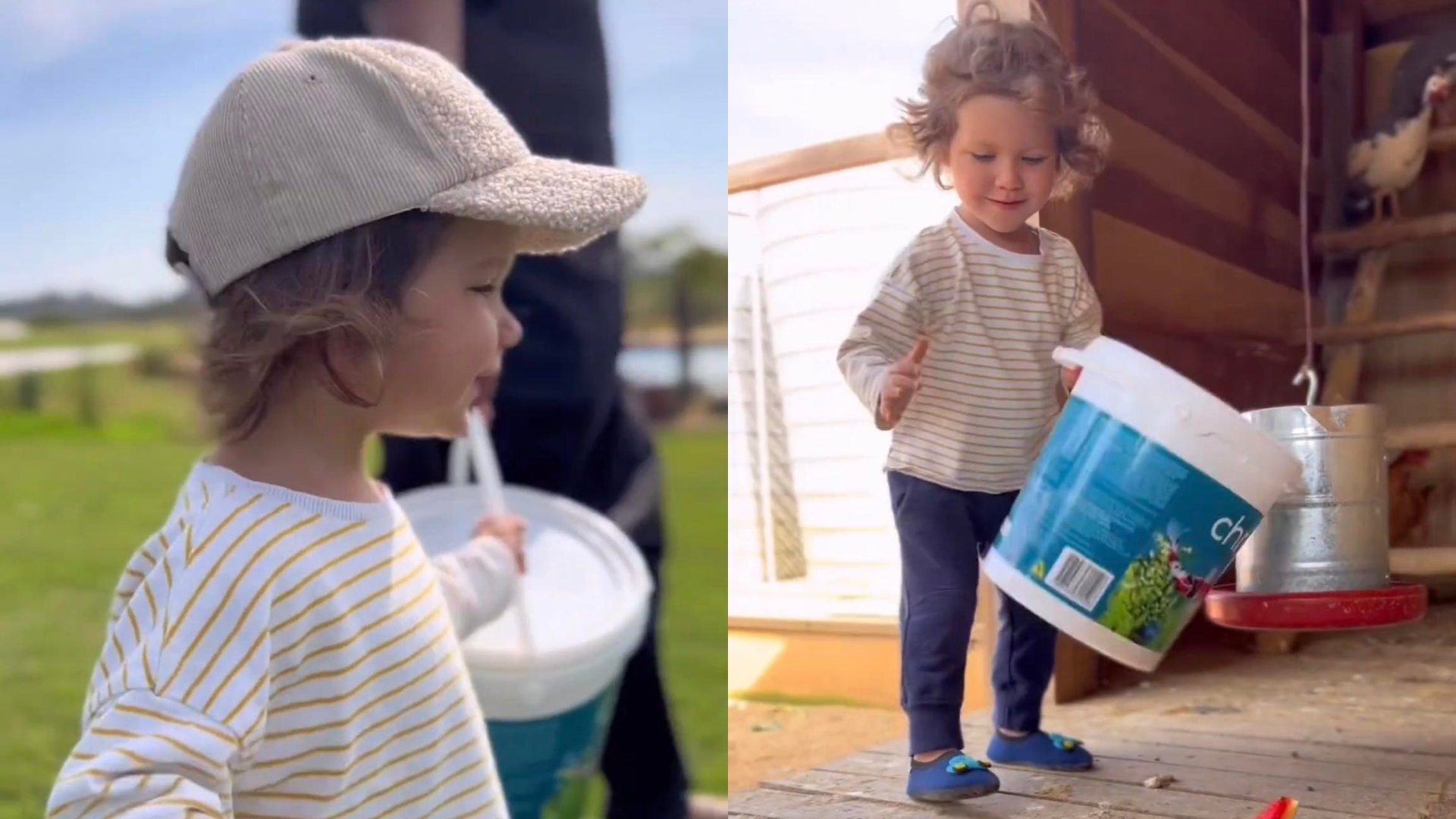 Filho caçula de Giovanna Ewbank e Bruno Gagliasso alimenta animais no rancho da família