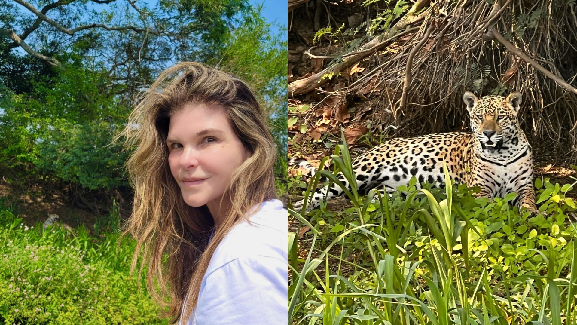 Cristiana Oliveira compartilha encontro com onças-pintadas: ”Inesquecível e emocionante”