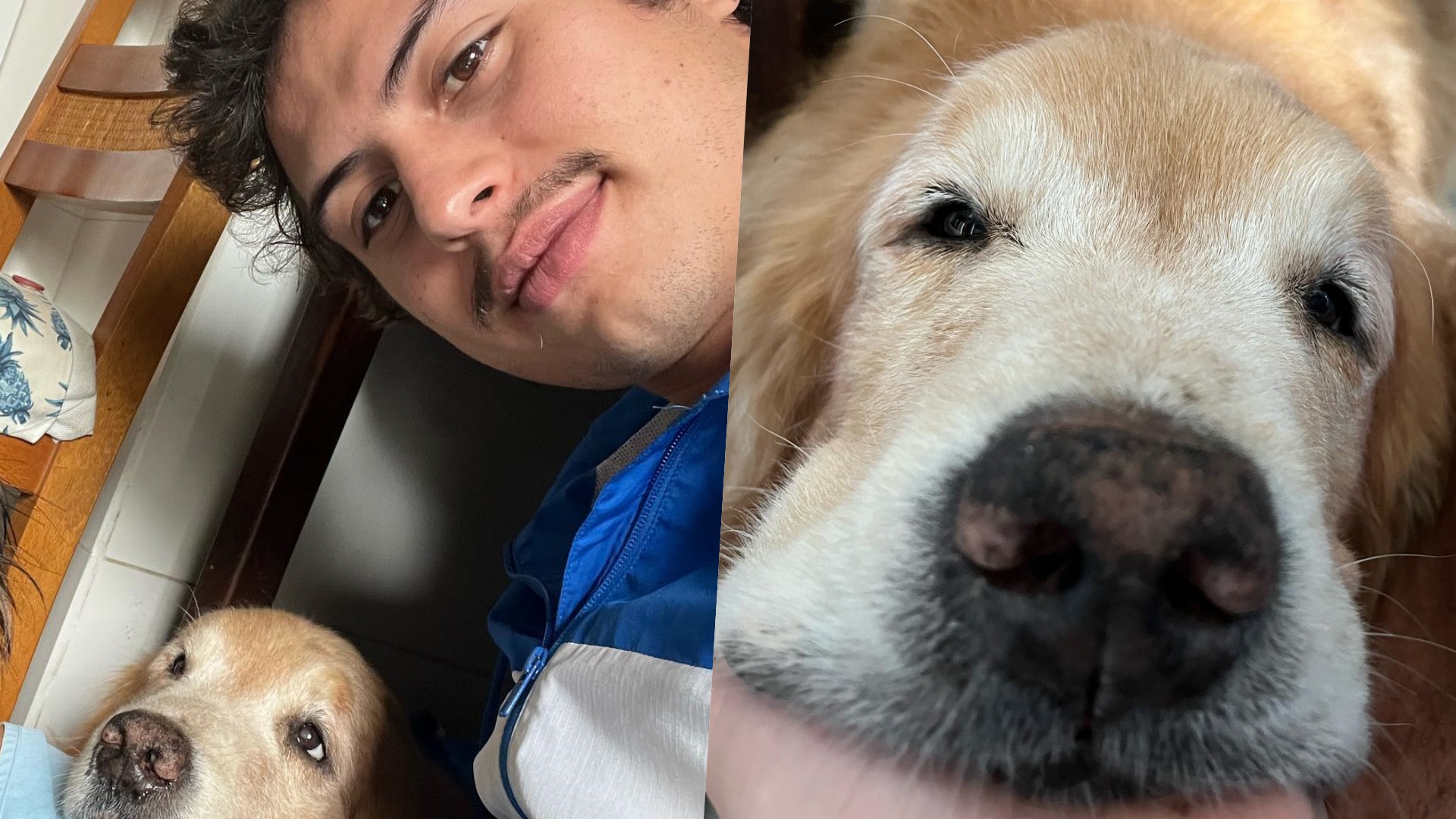 Francisco Vitti lamenta morte de companheiro canino: “Meu melhor amigo”