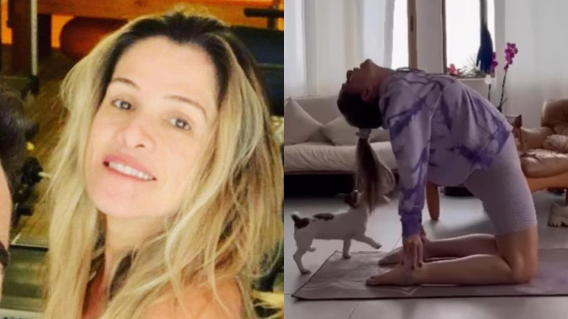 Ingrid Guimarães vive momento hilário com seus cachorros durante sua aula de yoga