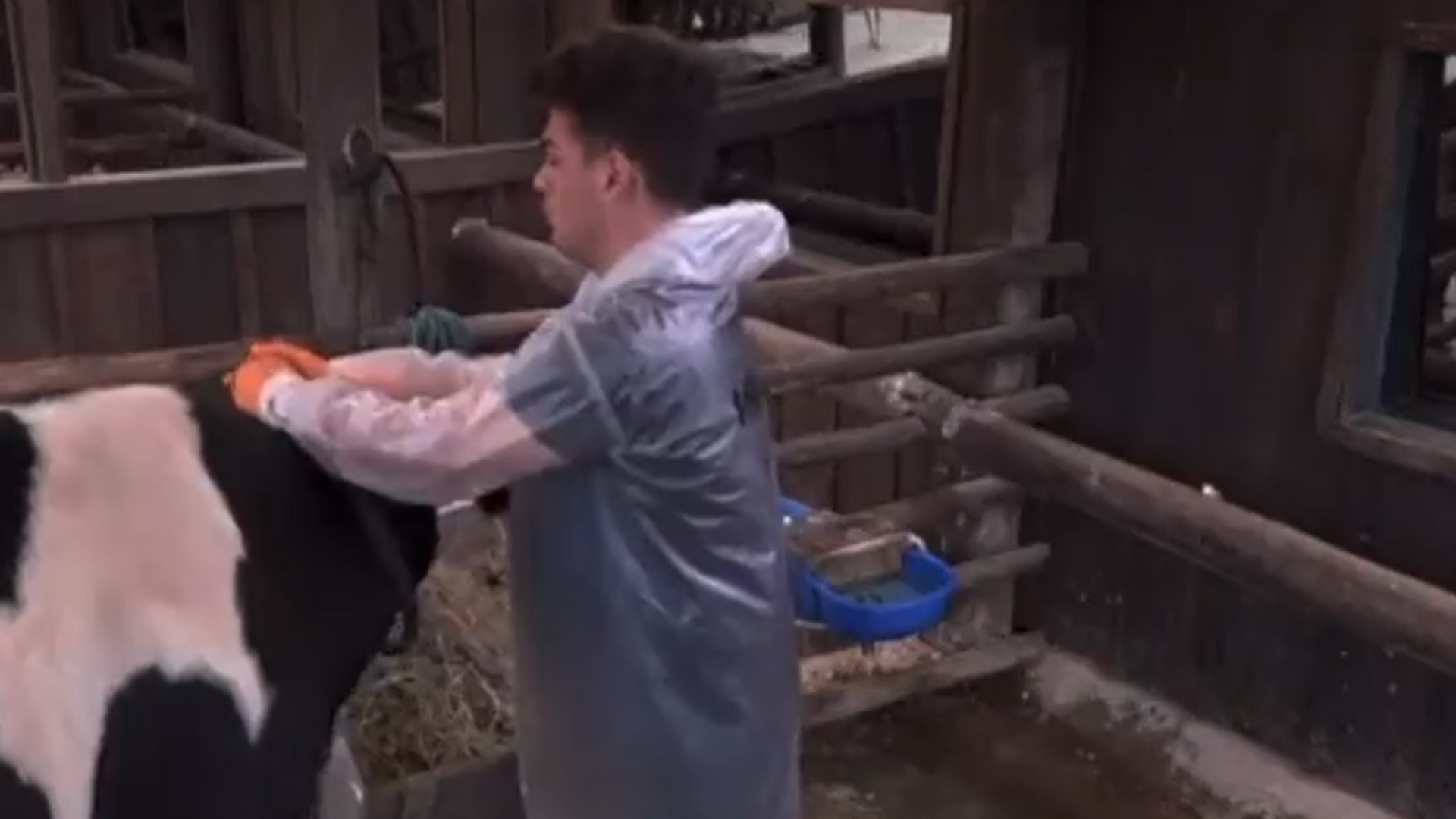 A Fazenda 14: Internautas exigem expulsão do peão Lucas Santos; entenda o motivo