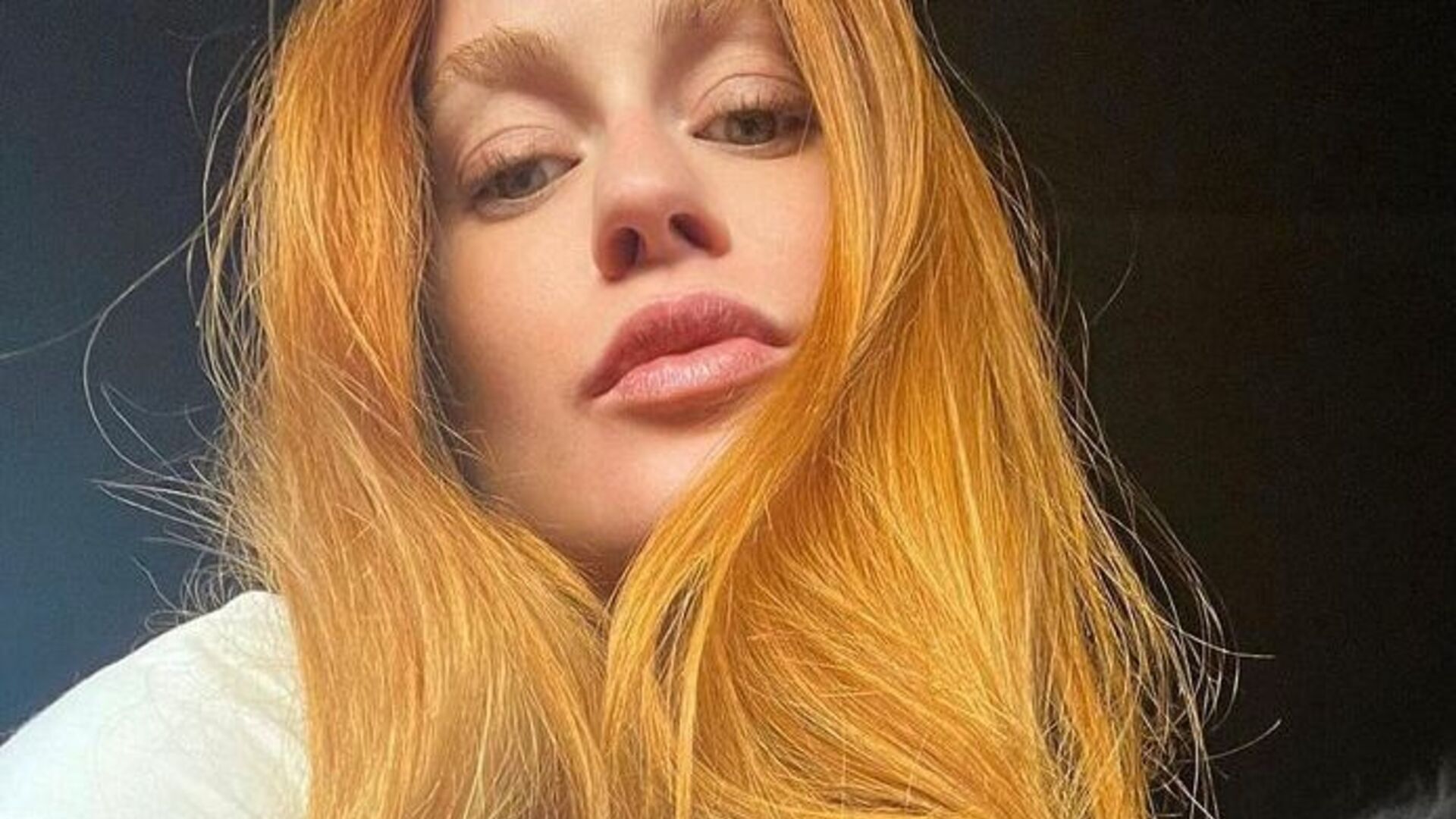 Marina Ruy Barbosa posa com seu cachorrinho em fotos no carro