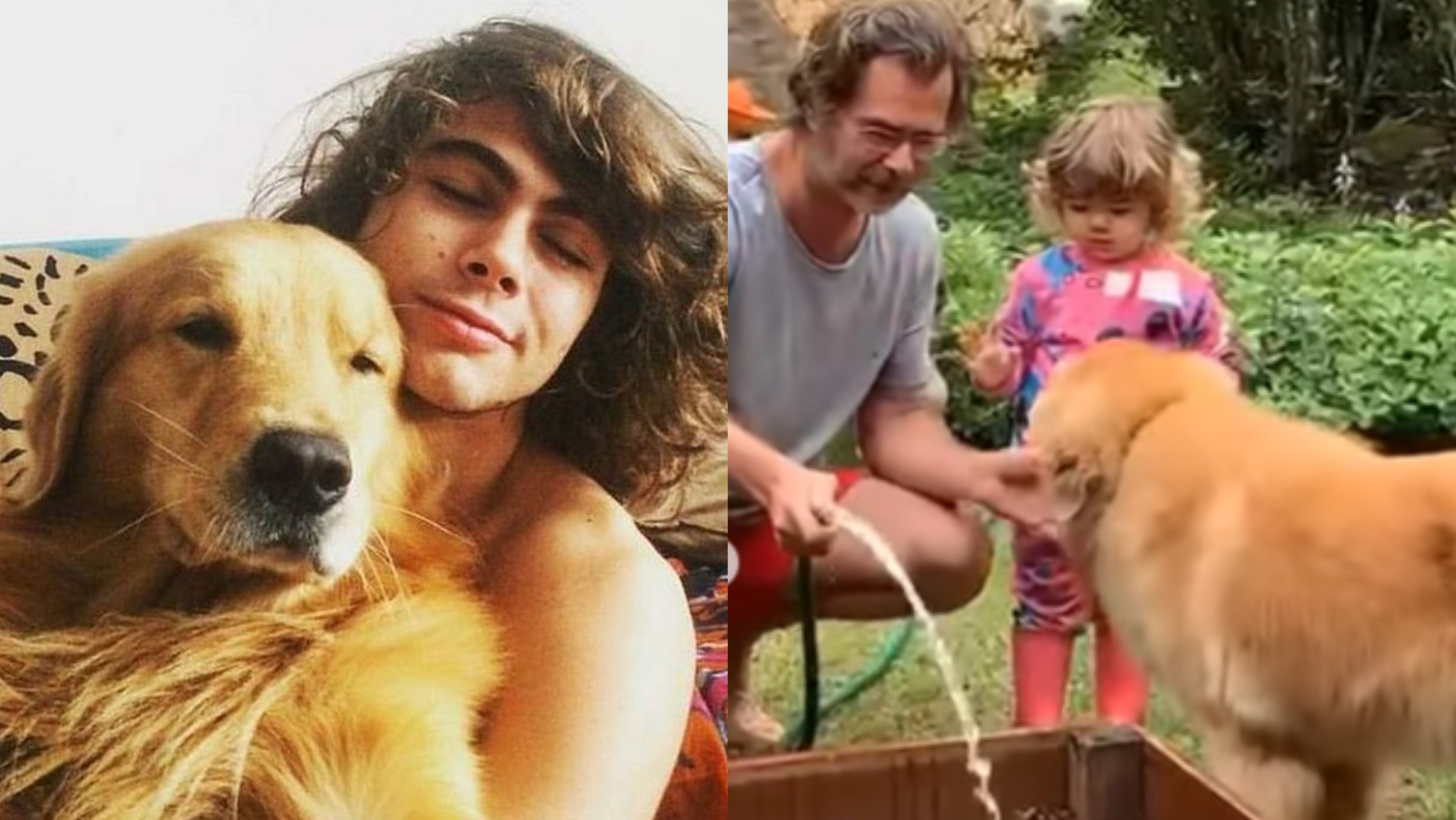 Rafael Vitti resgata registros em família e se despede de cachorrinho: ”Amor incondicional”