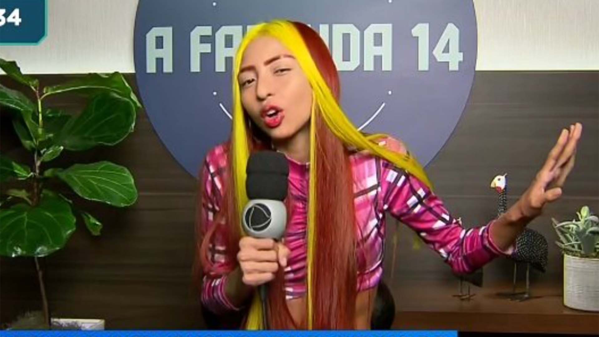 A Fazenda 14: Ruivinha de Marte revela seu objetivo no reality show