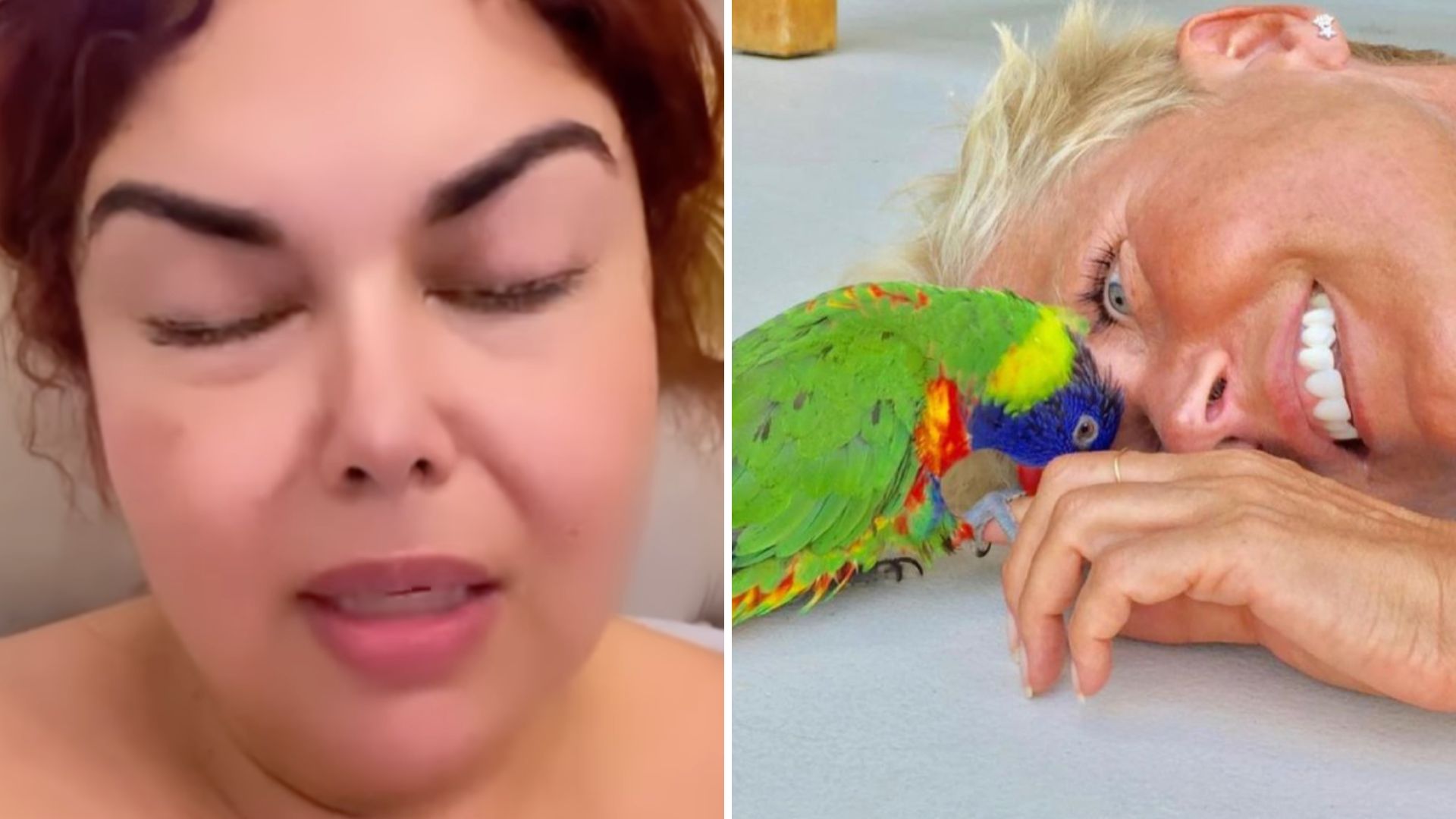 Fabiana Karla pede desculpas após Xuxa anunciar morte de papagaio: “Comentei sem ler”