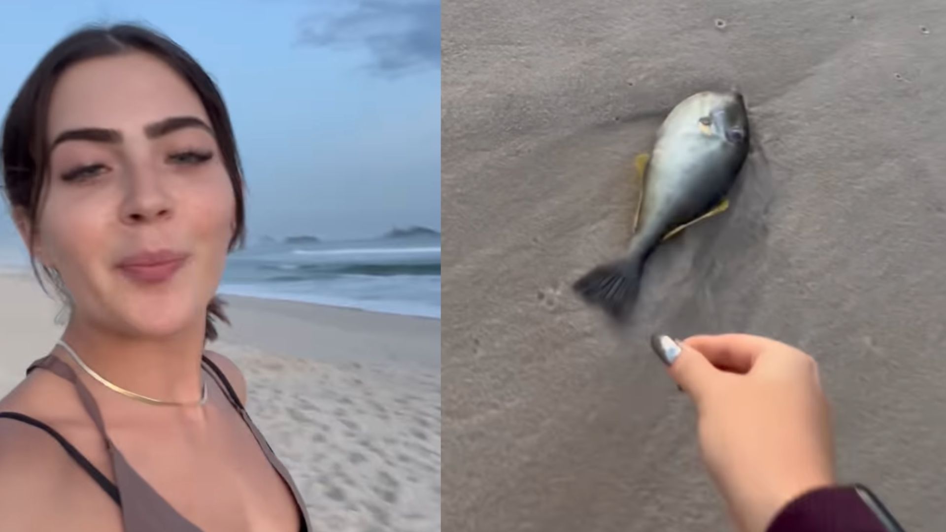 Deu ruim! Jade Picon vira meme ao tentar resgatar peixe na praia: “Acho que deu certo!”