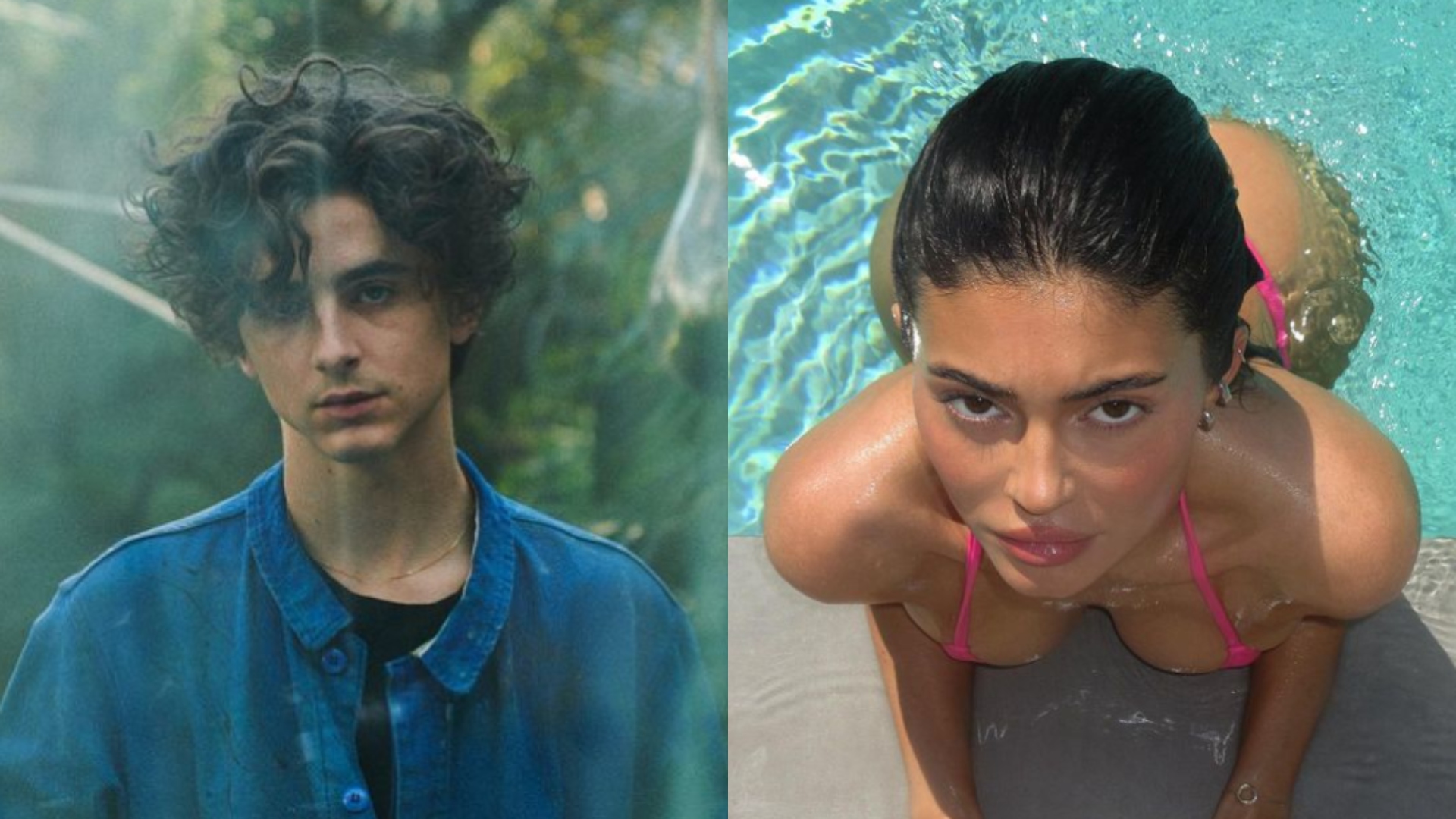 Kylie Jenner e Timothée Chalamet estariam se conhecendo melhor, segundo fonte