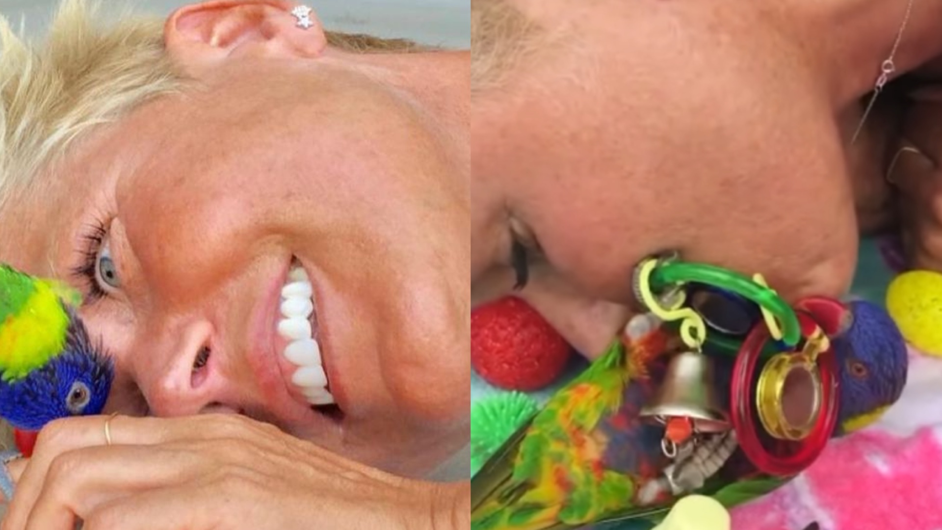 Xuxa Meneghel lamenta morte de seu pássaro, Luidy: ”Não resistiu”