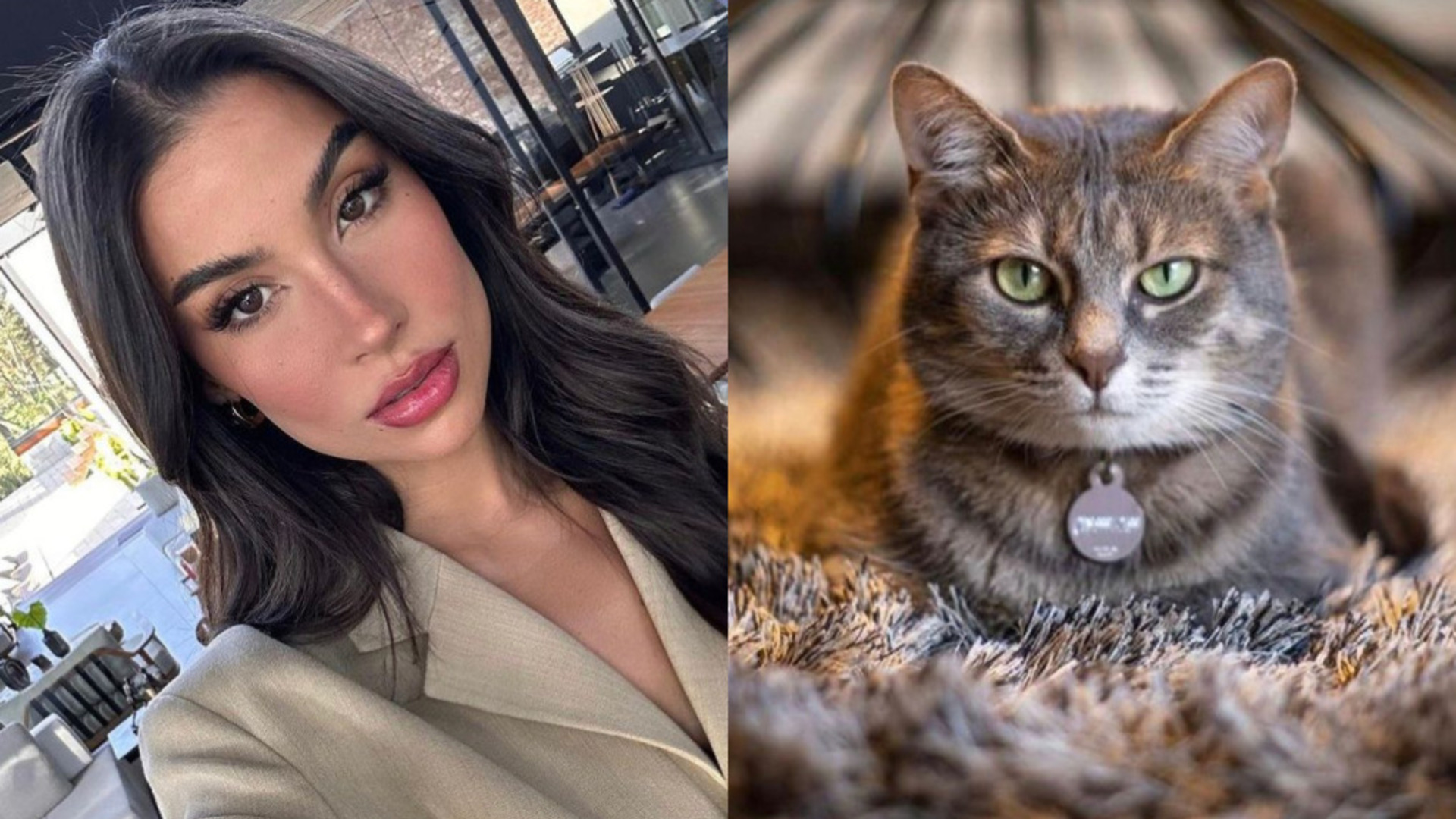 Bianca Andrade desabafa após gata de estimação desaparecer: “Meu coração está destruído”
