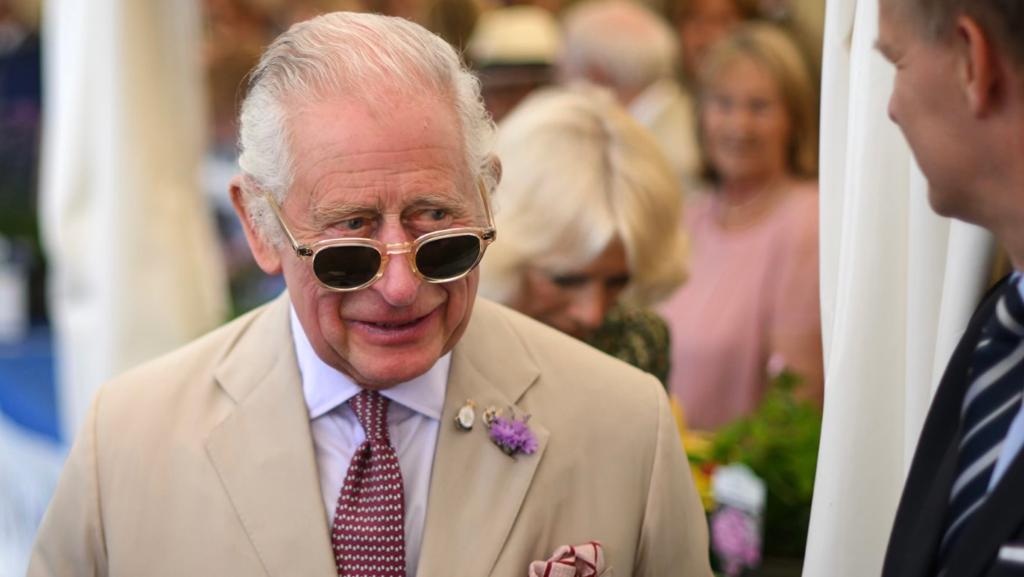Descubra pedido especial de Charles para príncipe Harry em comemoração dos seus 75 anos