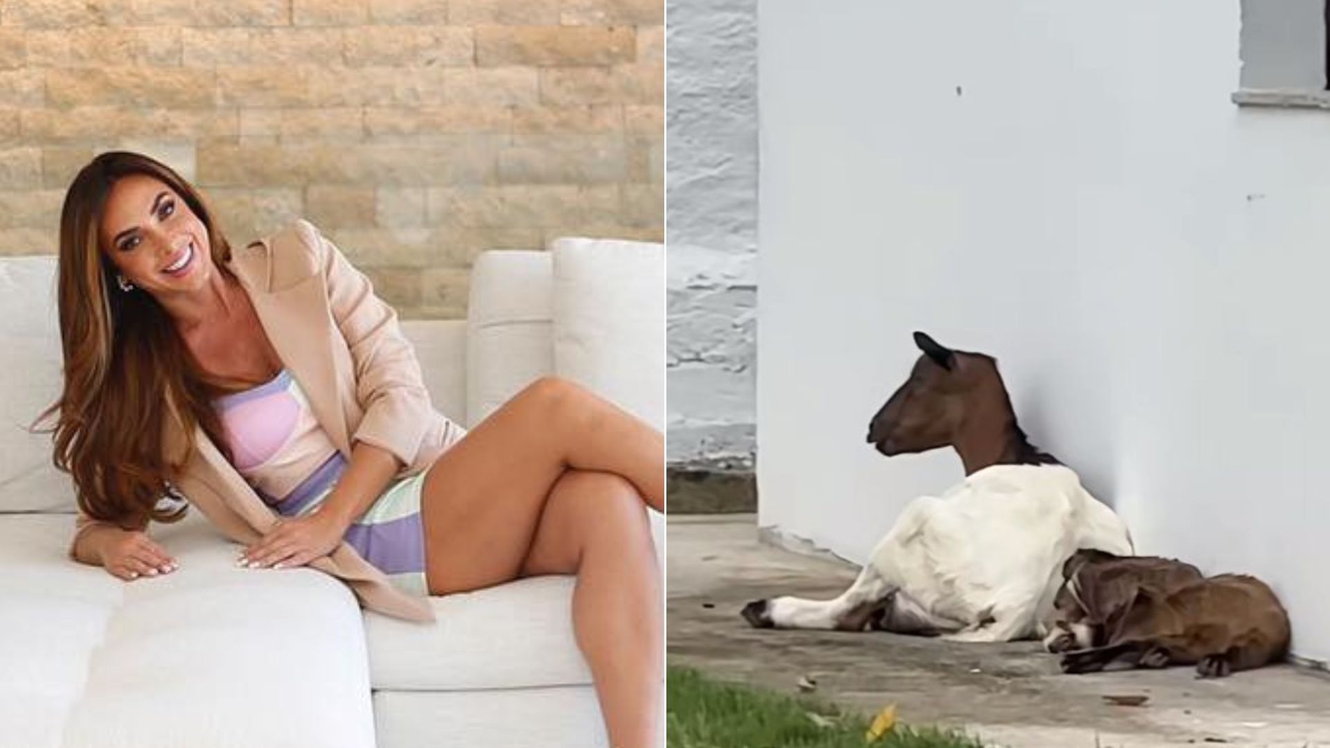 Fazenda, 22 banheiros e salão de beleza: Saiba detalhes da mansão de Nicole Bahls