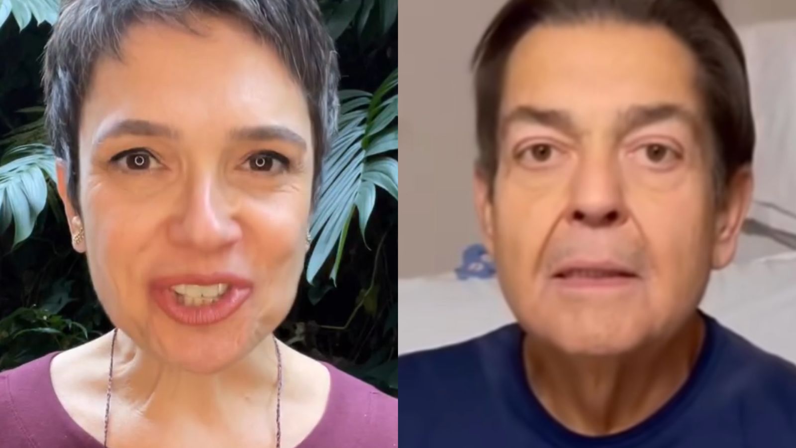 Exemplo! Sandra Annenberg anuncia decisão após transplante de Faustão: “Doadora”