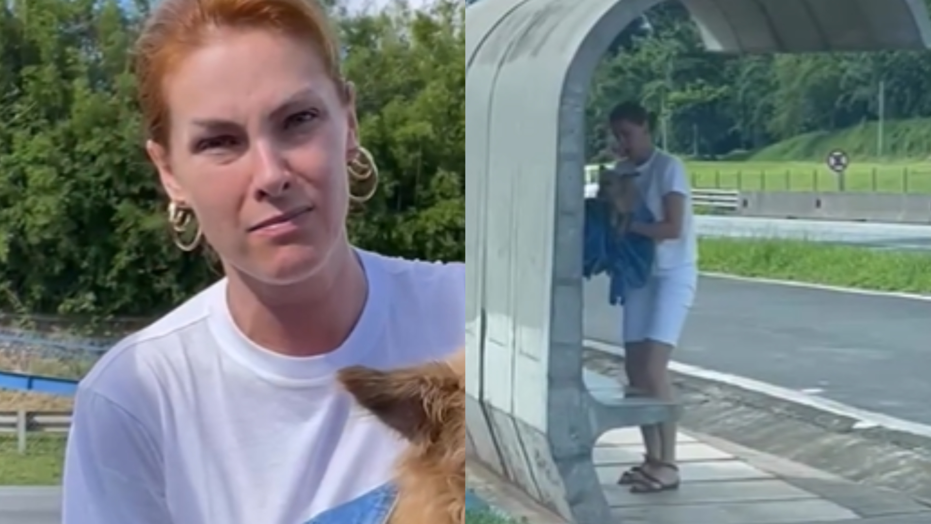 Ana Hickmann resgata cachorrinho na estrada: ”Foi deixado pra morrer”