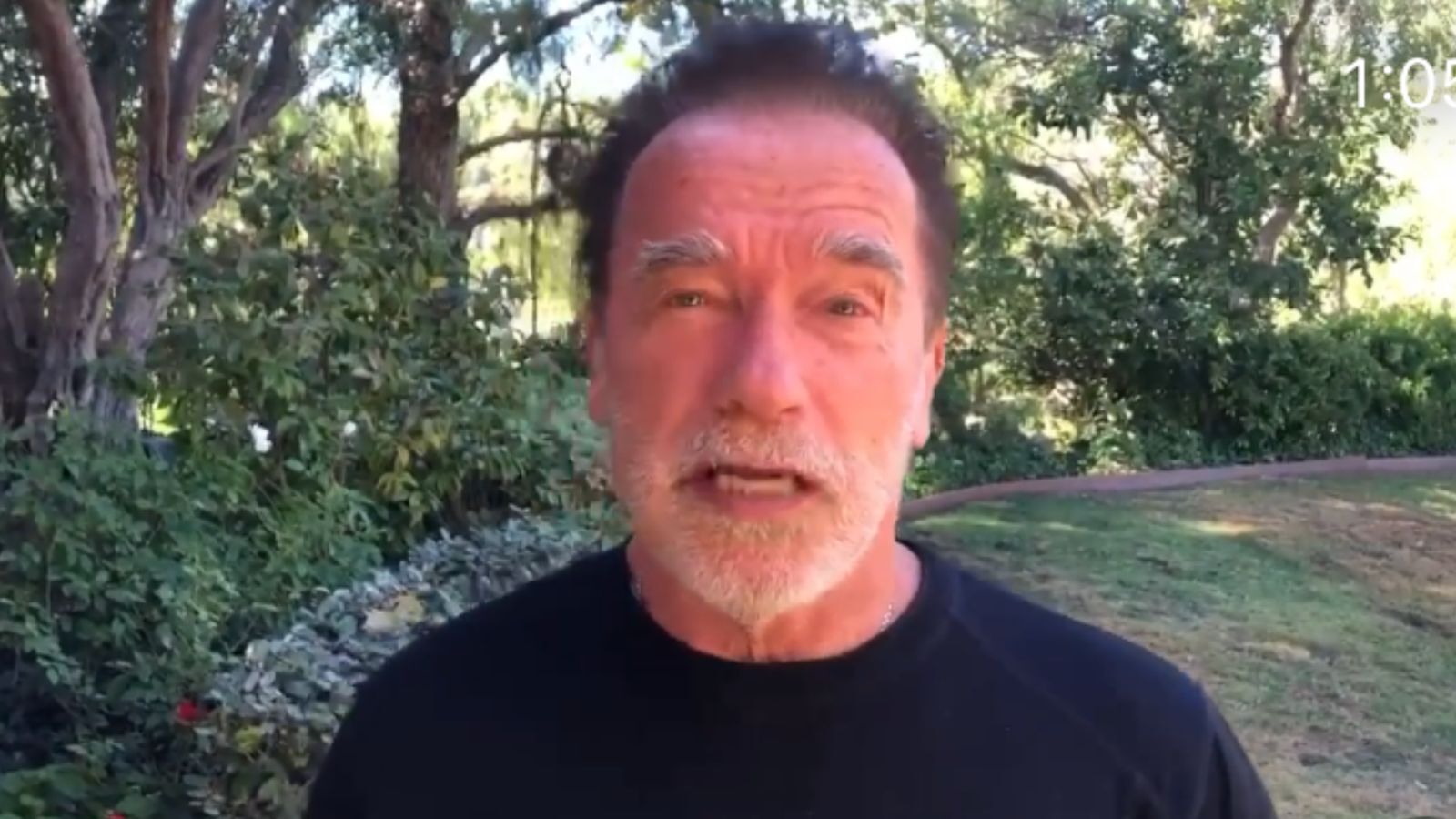 Arnold Schwarzenegger é acusado de atropelar ciclista
