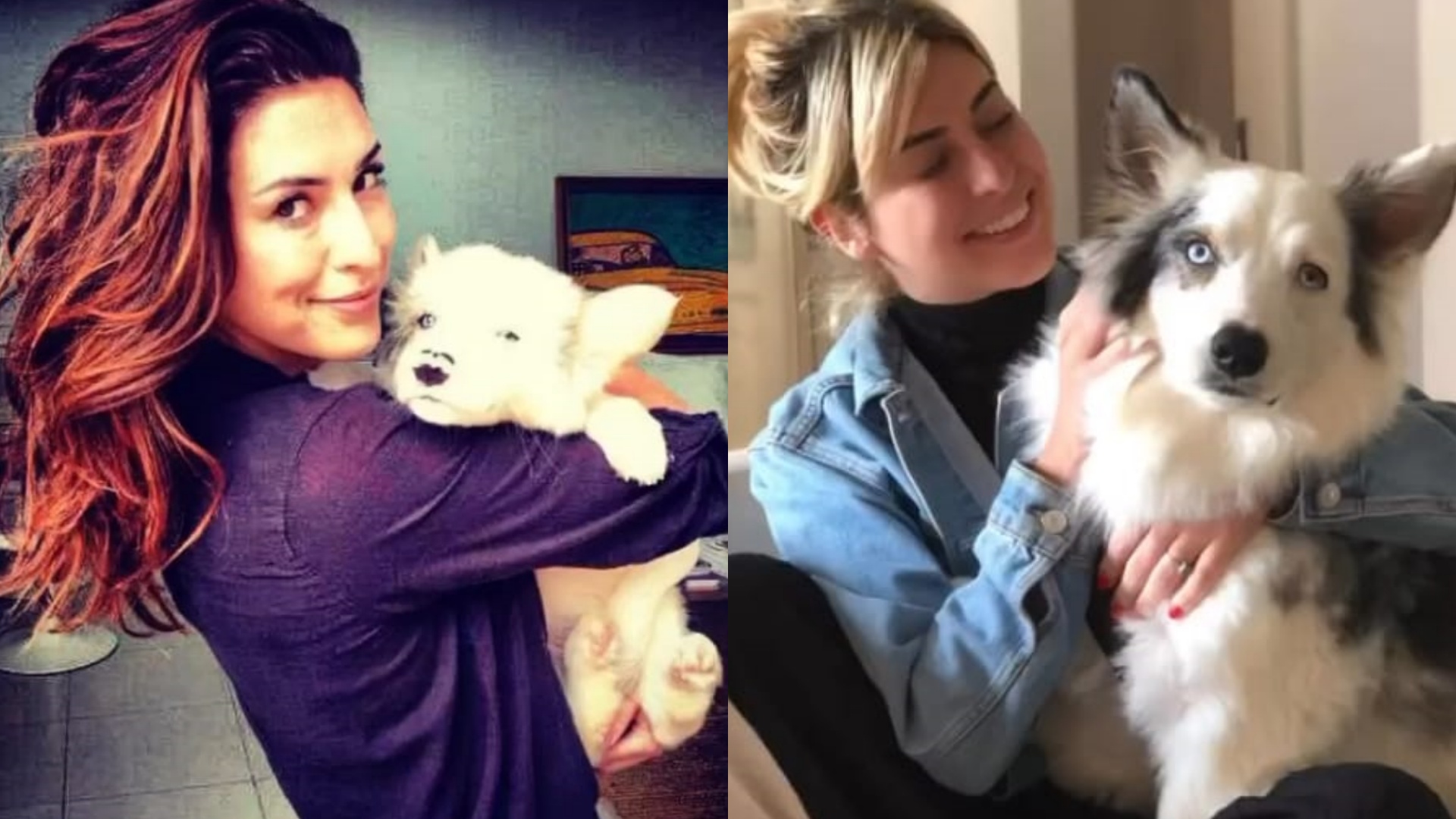 Fernanda Paes Leme se despede do cachorrinho de estimação com emocionante homenagem: “Perdi um amigo”