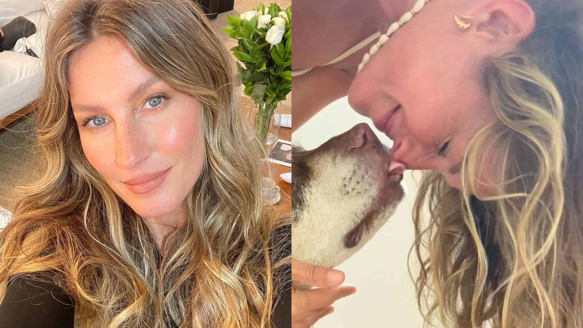 Gisele Bündchen esbanja beleza ao posar no maior chamego com seus cachorros