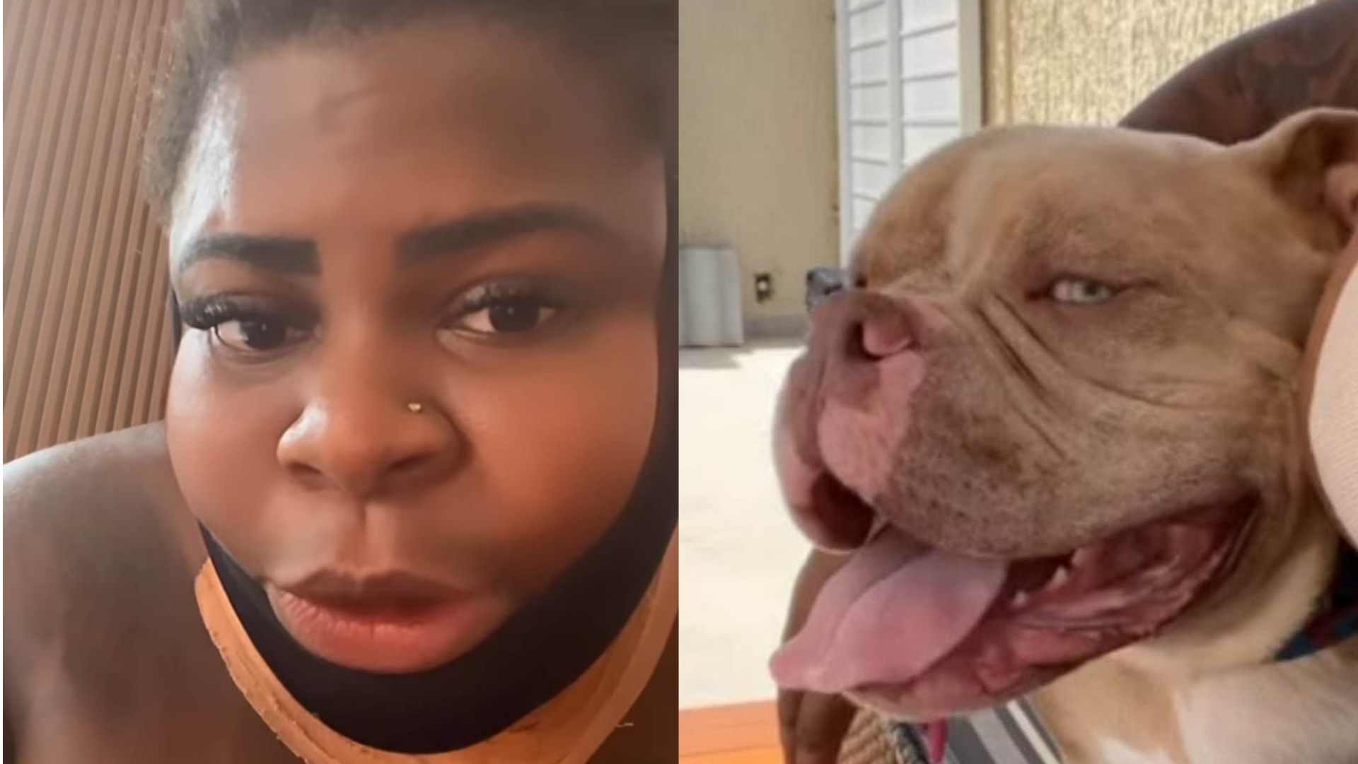 Jojo Todynho defende seu cão de comentários maldosos: ”Não fale do meu cachorro”