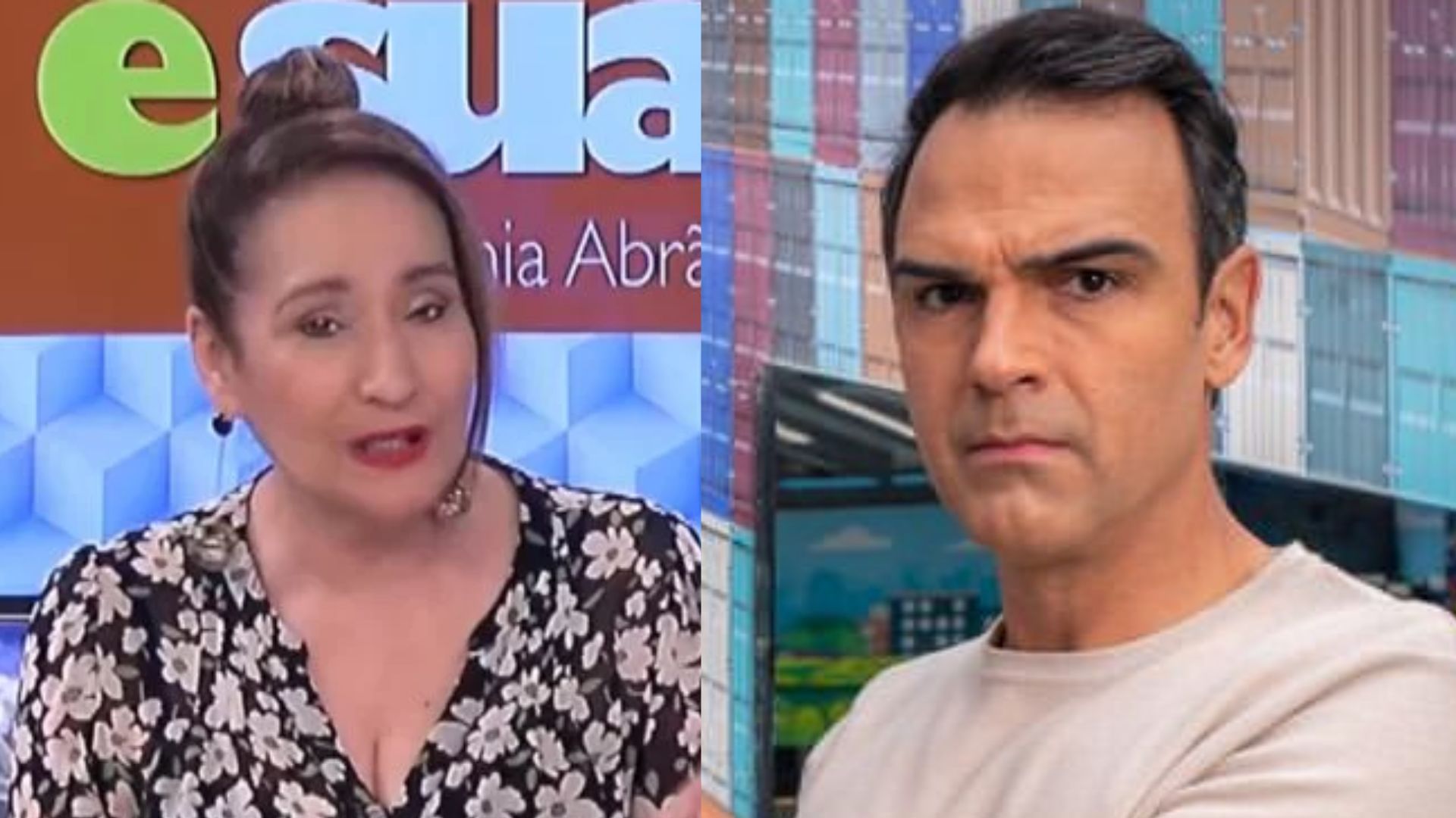 Sonia Abrão não poupa críticas e detona discurso de Tadeu Schmidt: “Jogo sujo”