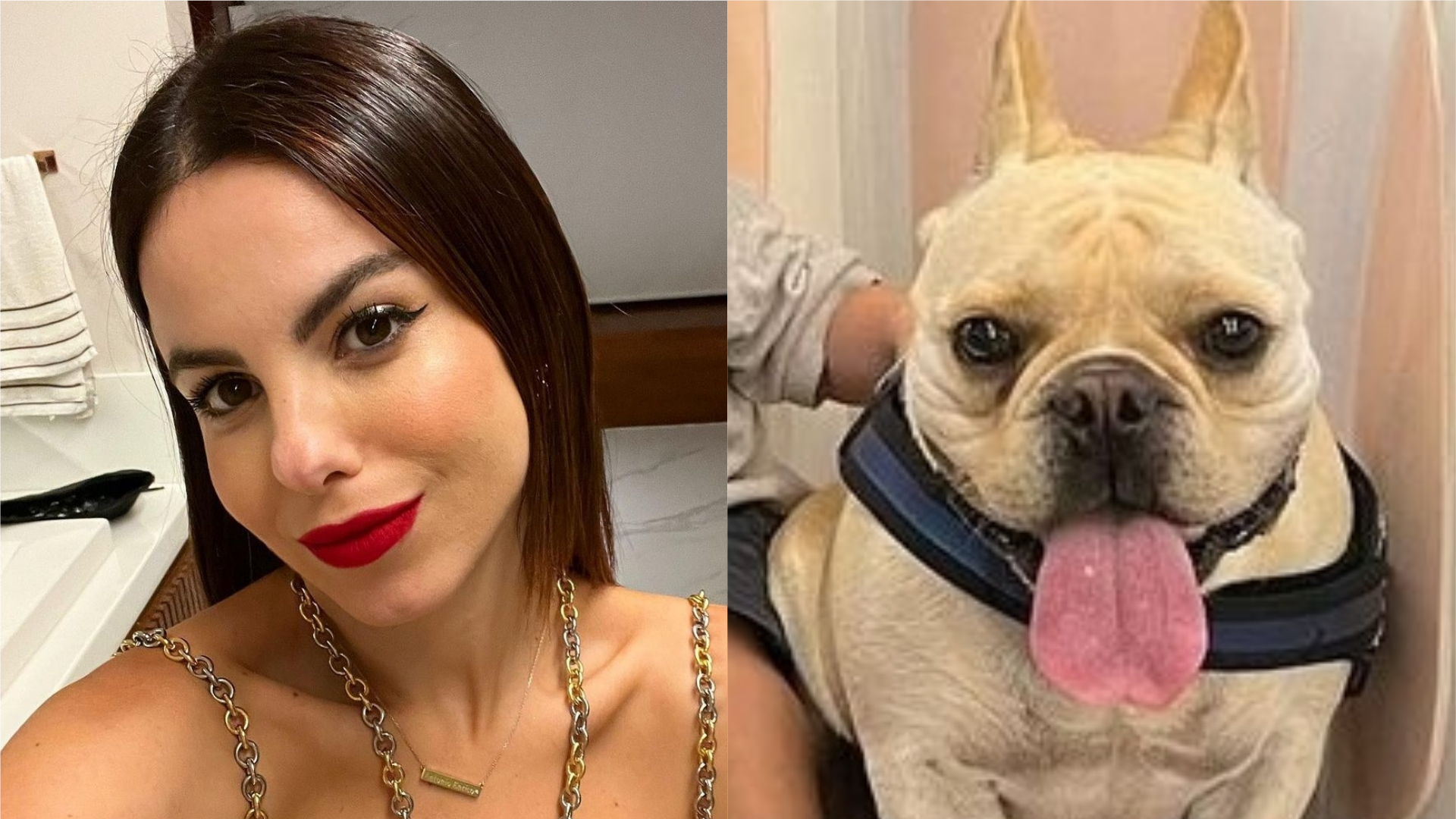 Sthefany Brito relata crise de convulsão no cachorro: “Cena desesperadora”