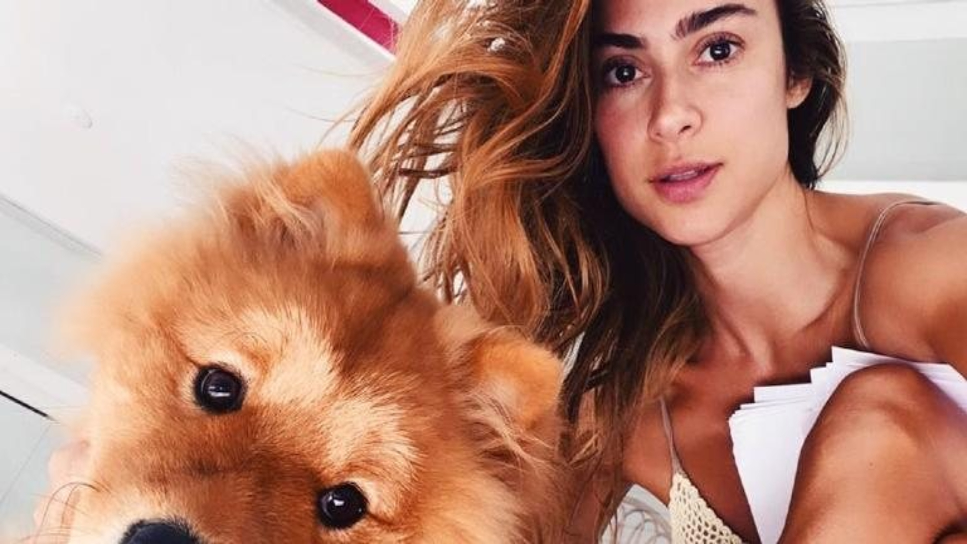 Thaila Ayala faz apelo após seu cachorro ser mordido: “Não existe passear sem coleira”