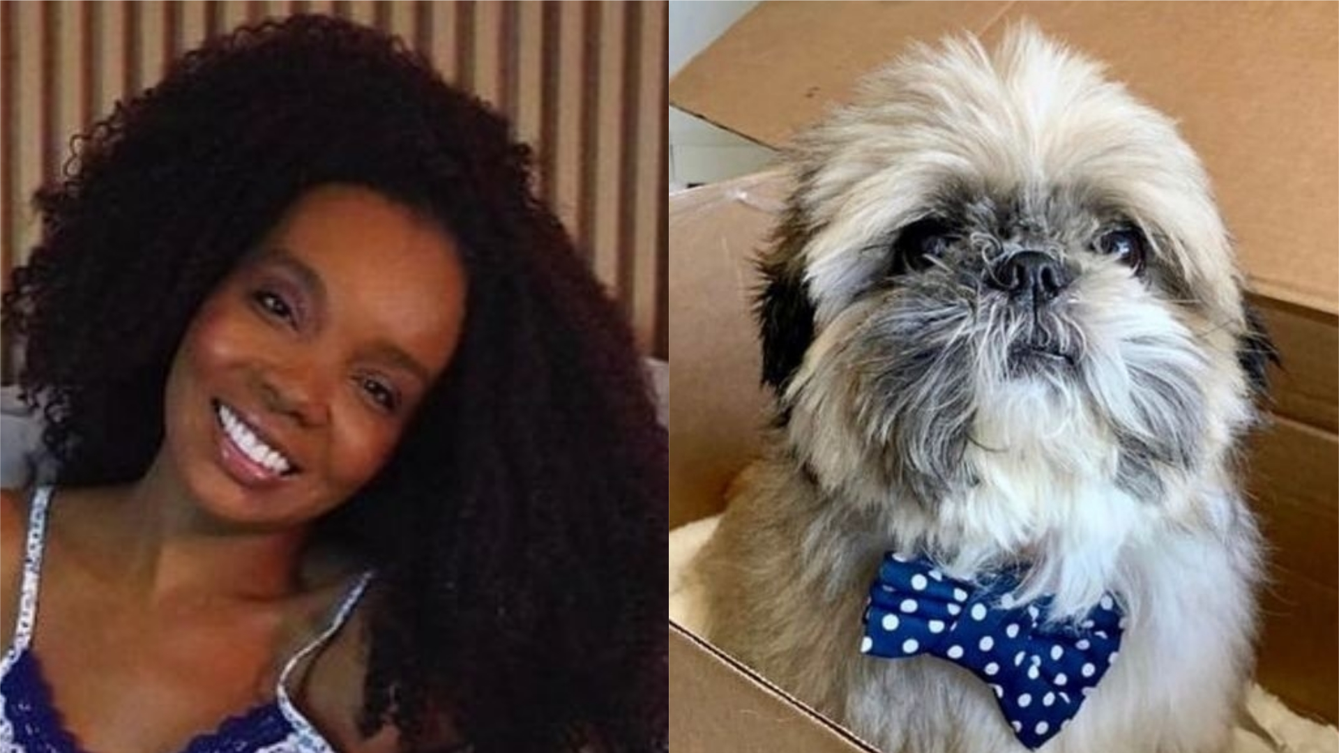 Thelma Assis lamenta morte de cachorrinho de estimação: “Perda dolorida”