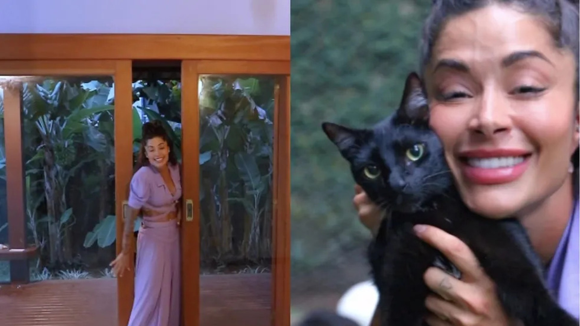 Aline Campos constrói casa para seus 16 gatos: “Tudo foi adaptado para eles”